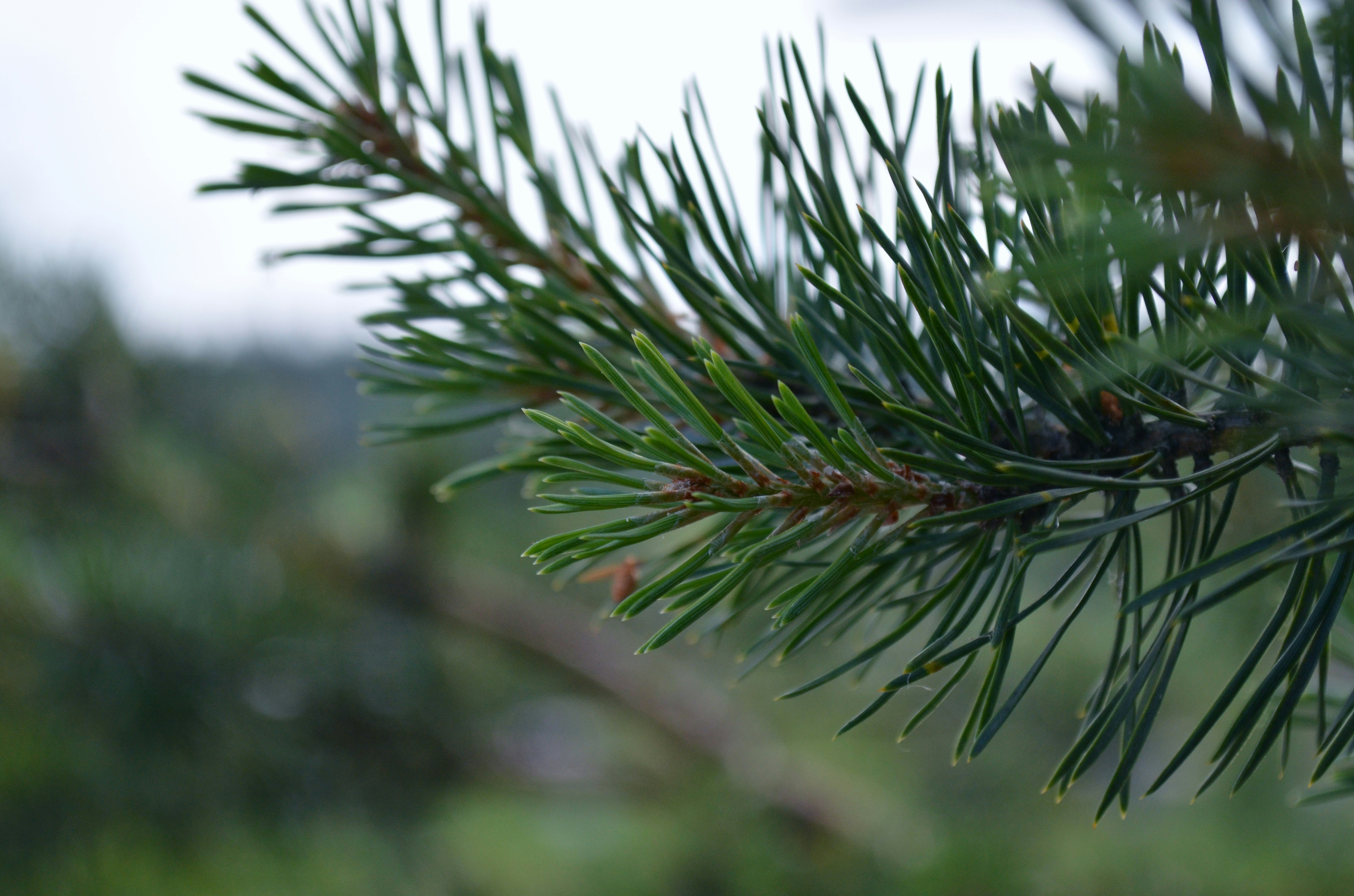 Photo by lenakonstance