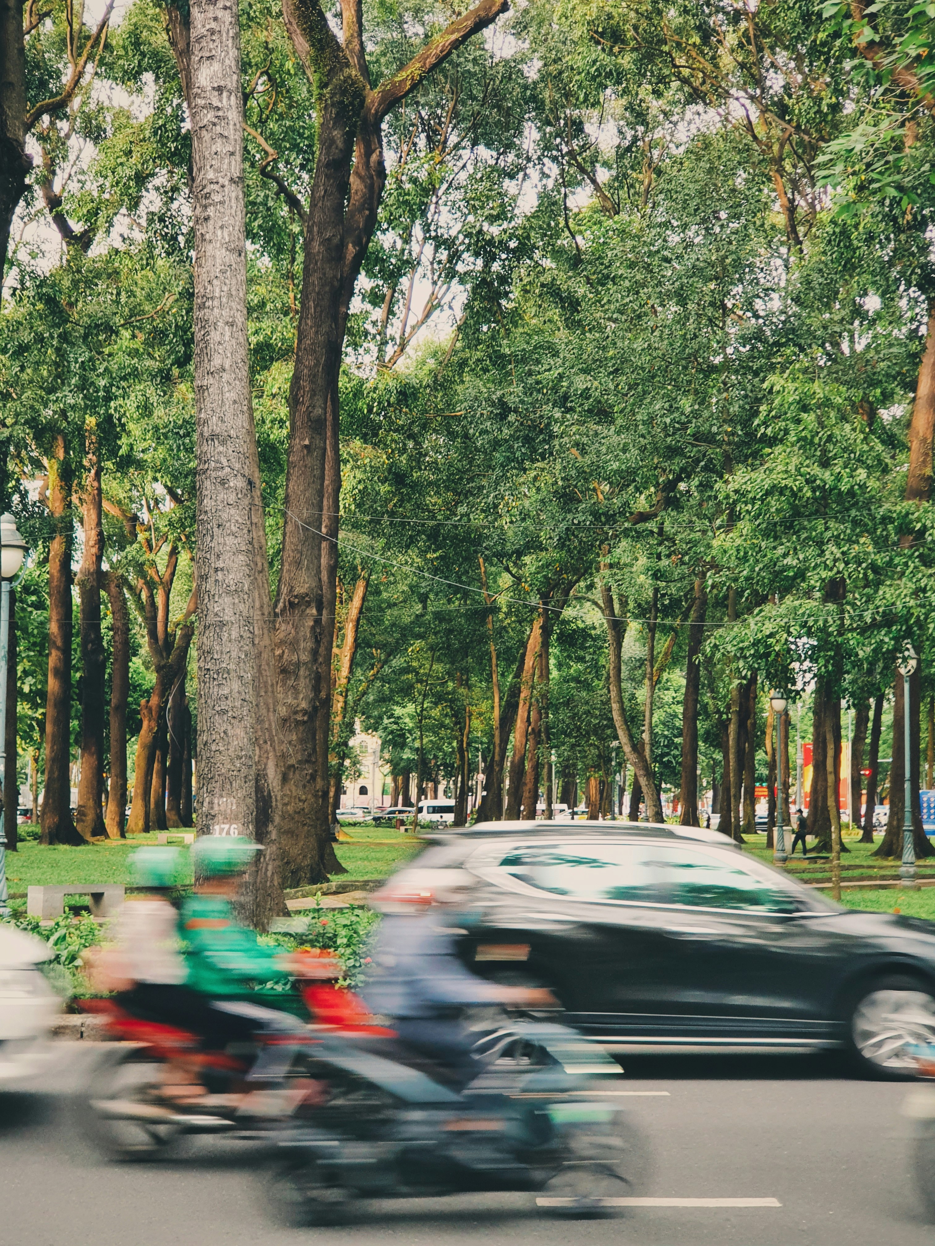 Photo by maivophucthanh