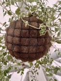 a basket with leaves