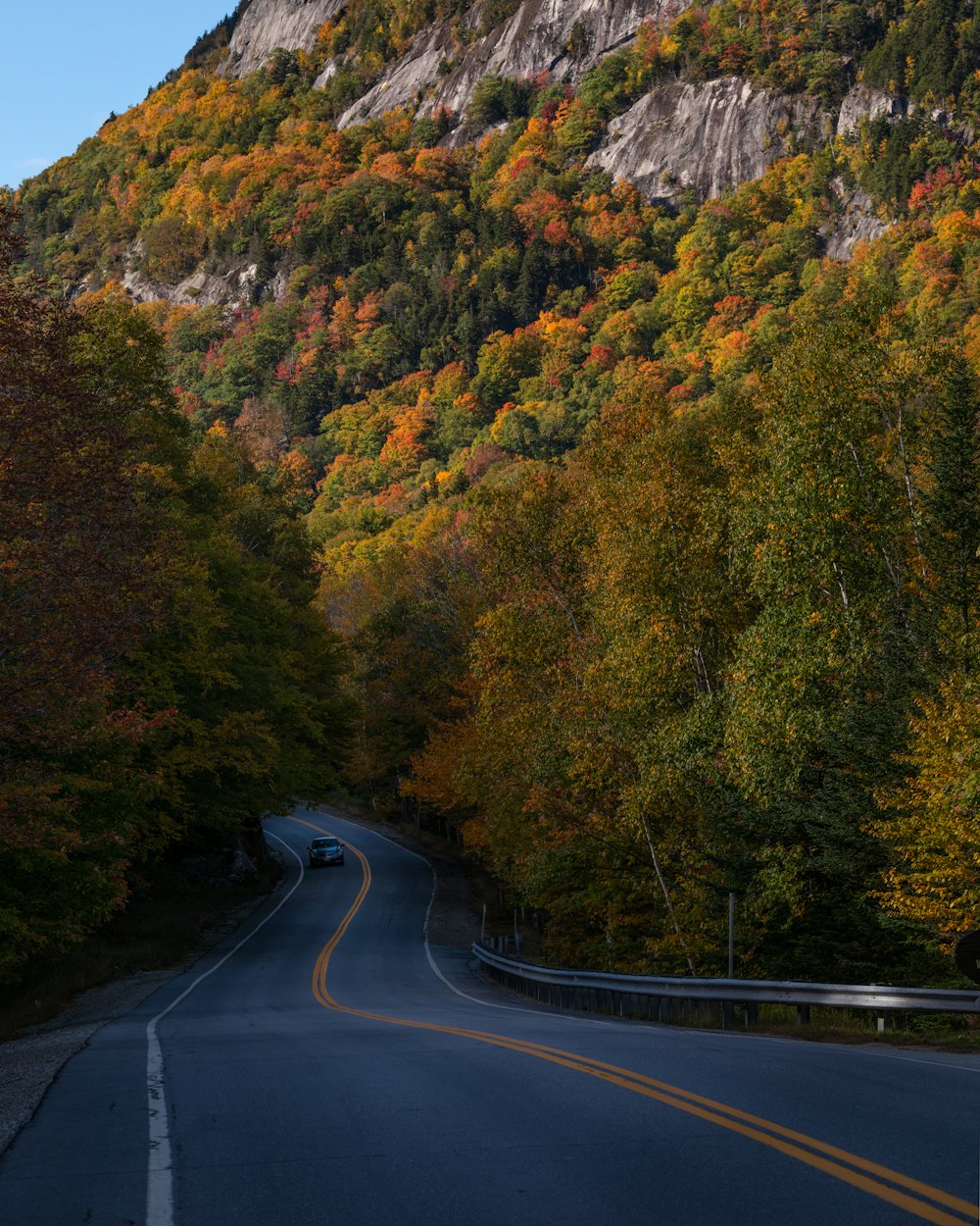 a road with trees on the side