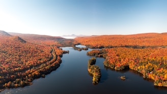 a river with trees on the banks
