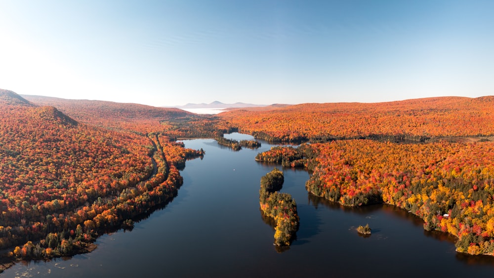 a river with trees on the banks