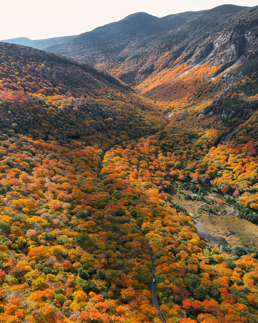 a mountain with trees and bushes