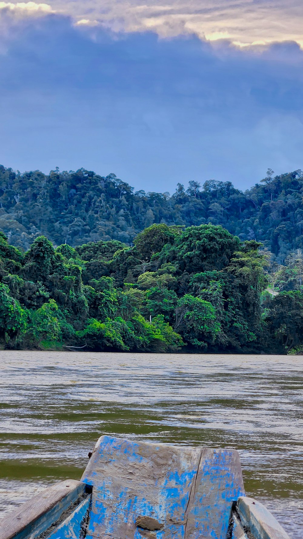 a body of water with trees around it