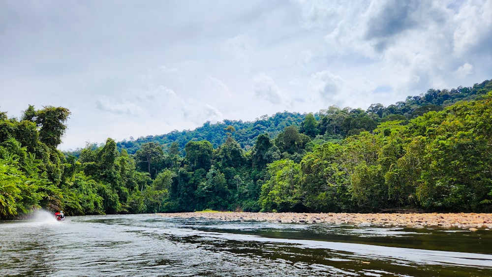 a person in a kayak in a river with trees on the side