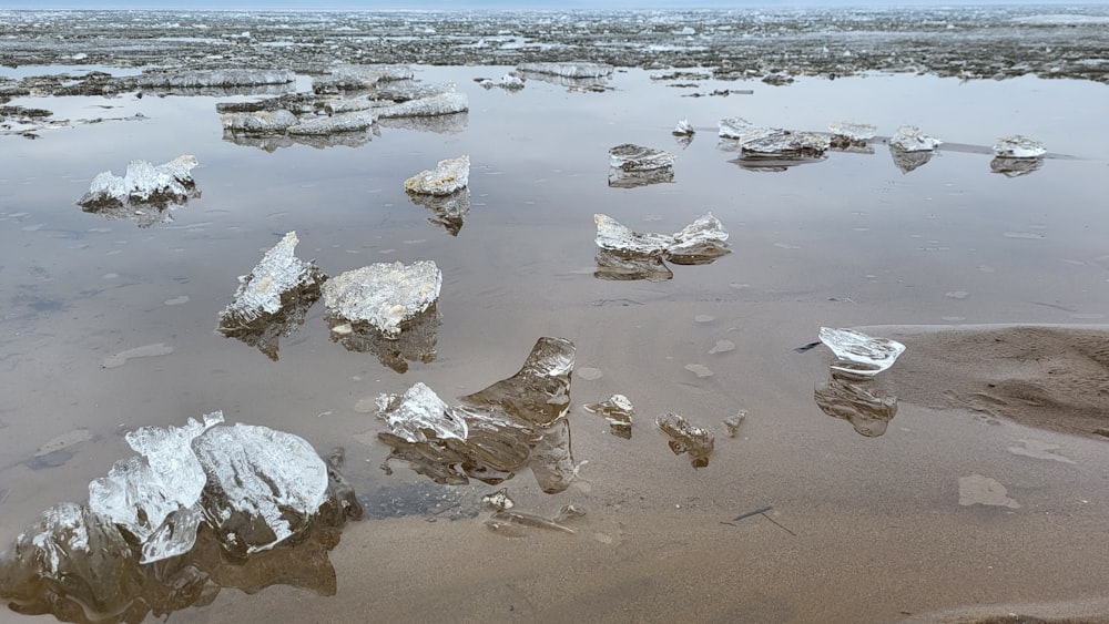 a group of rocks in the water