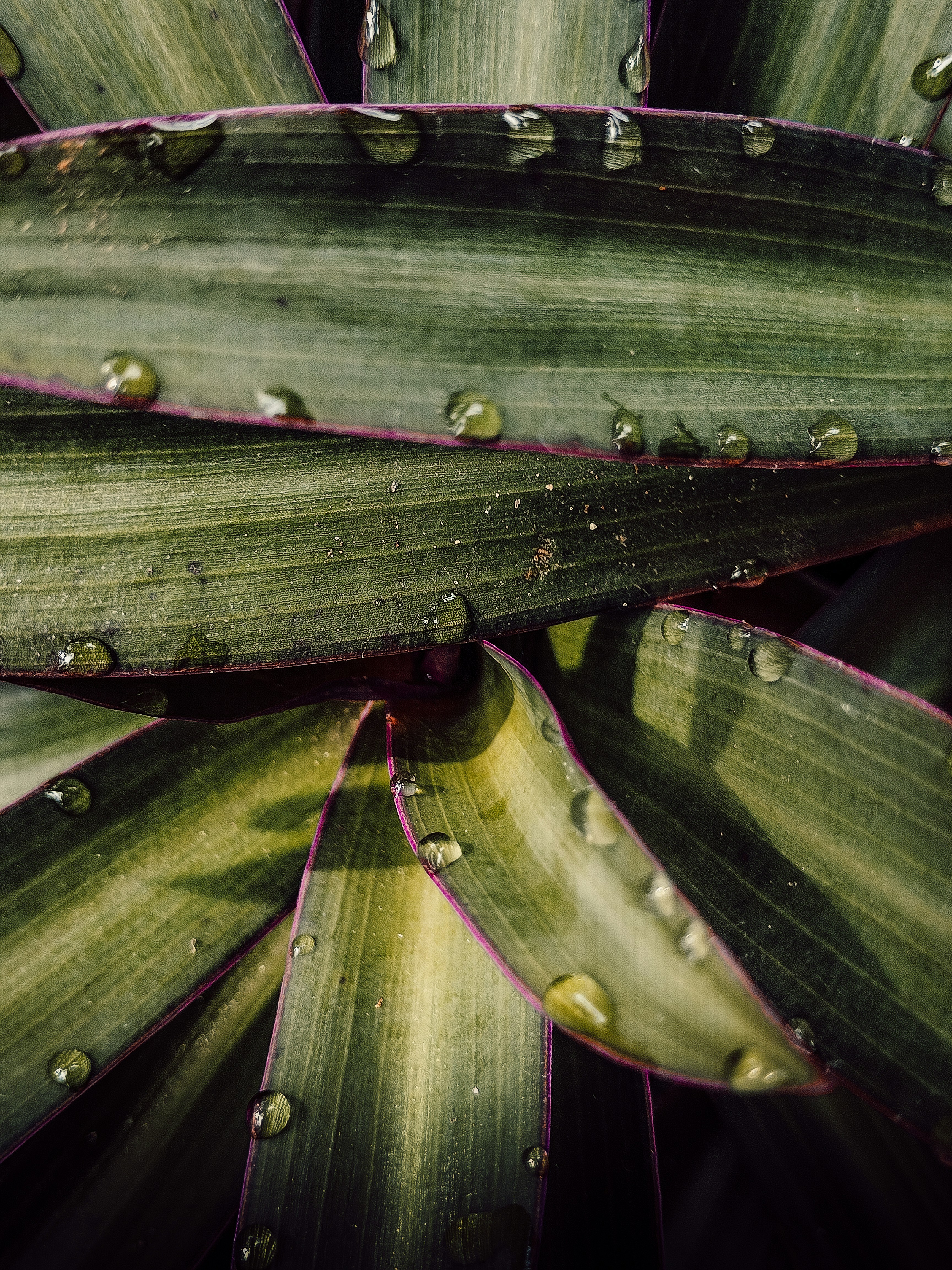 Photo by anandu_vinod