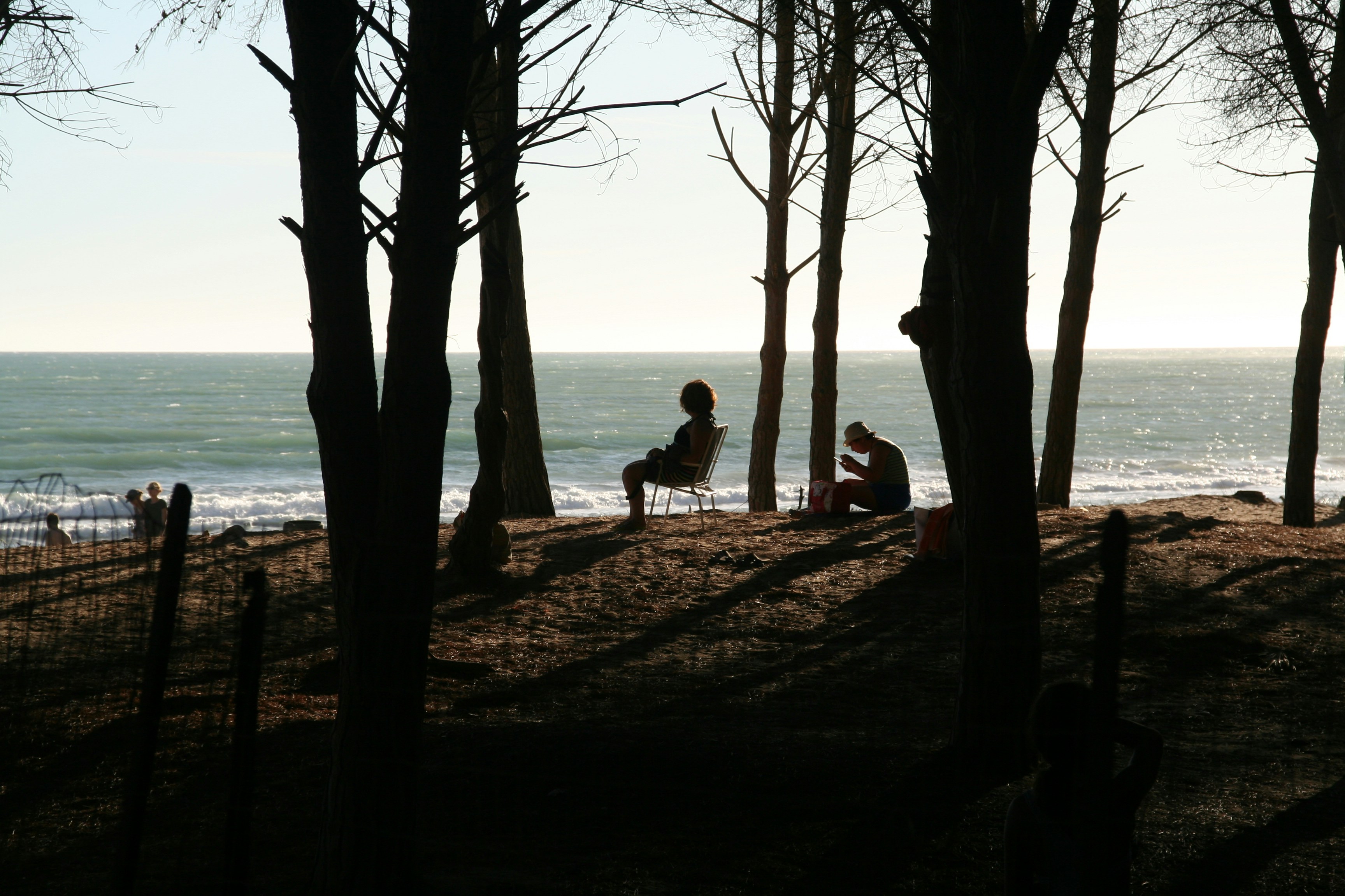 Couple sitting on a bench by the water's edge