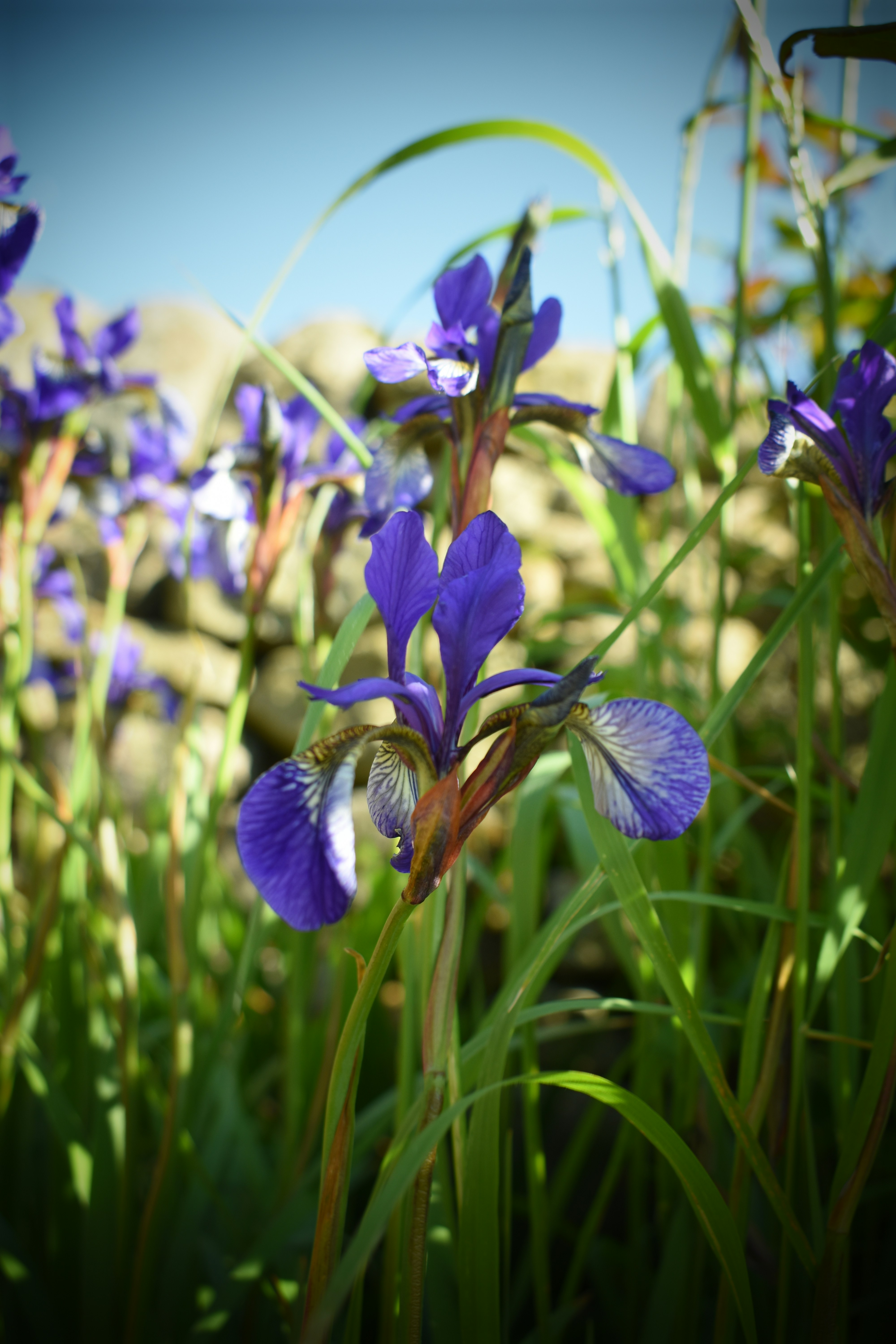 Photo by 2dogmarketing