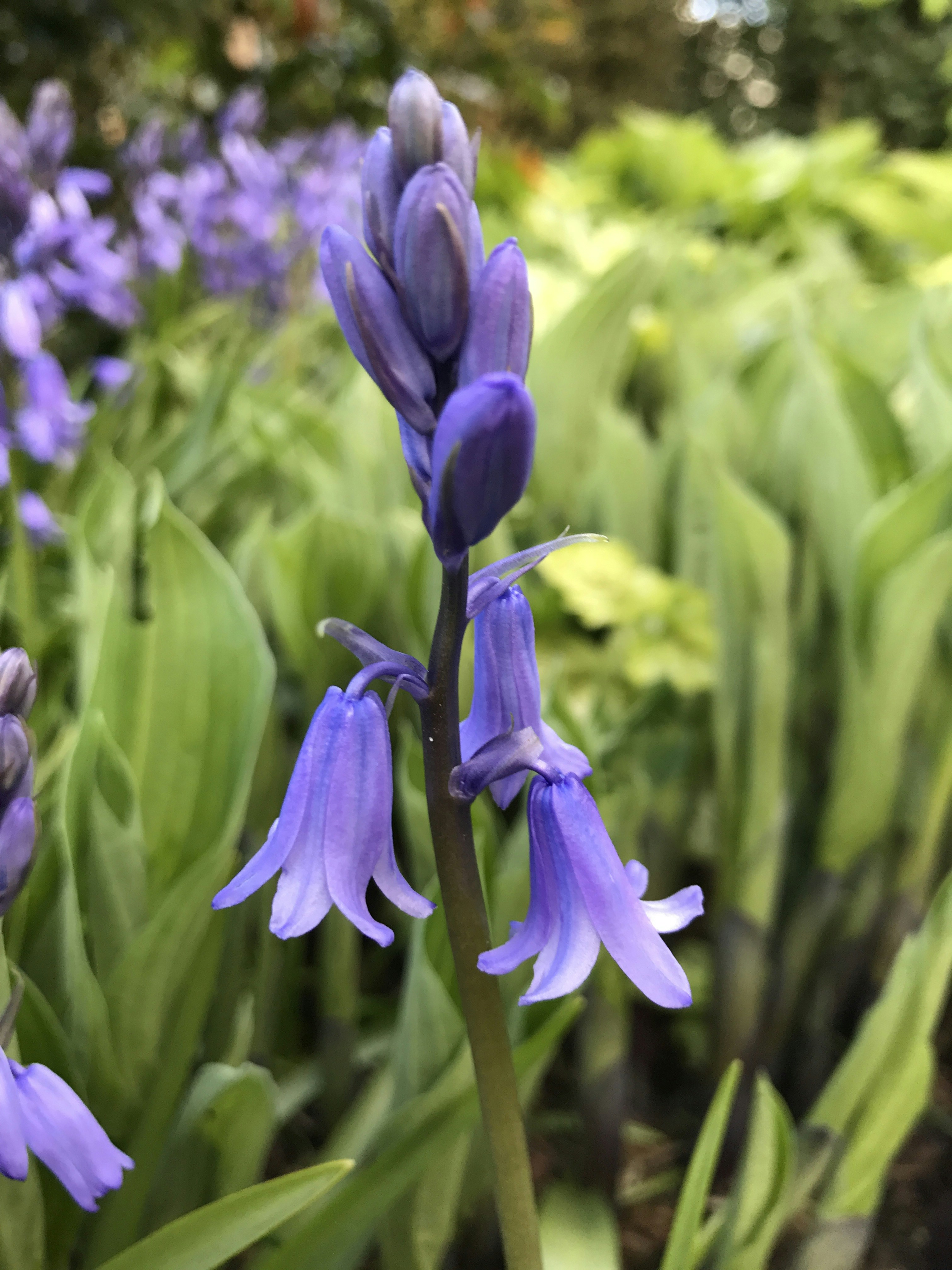 Photo by photosfromhome