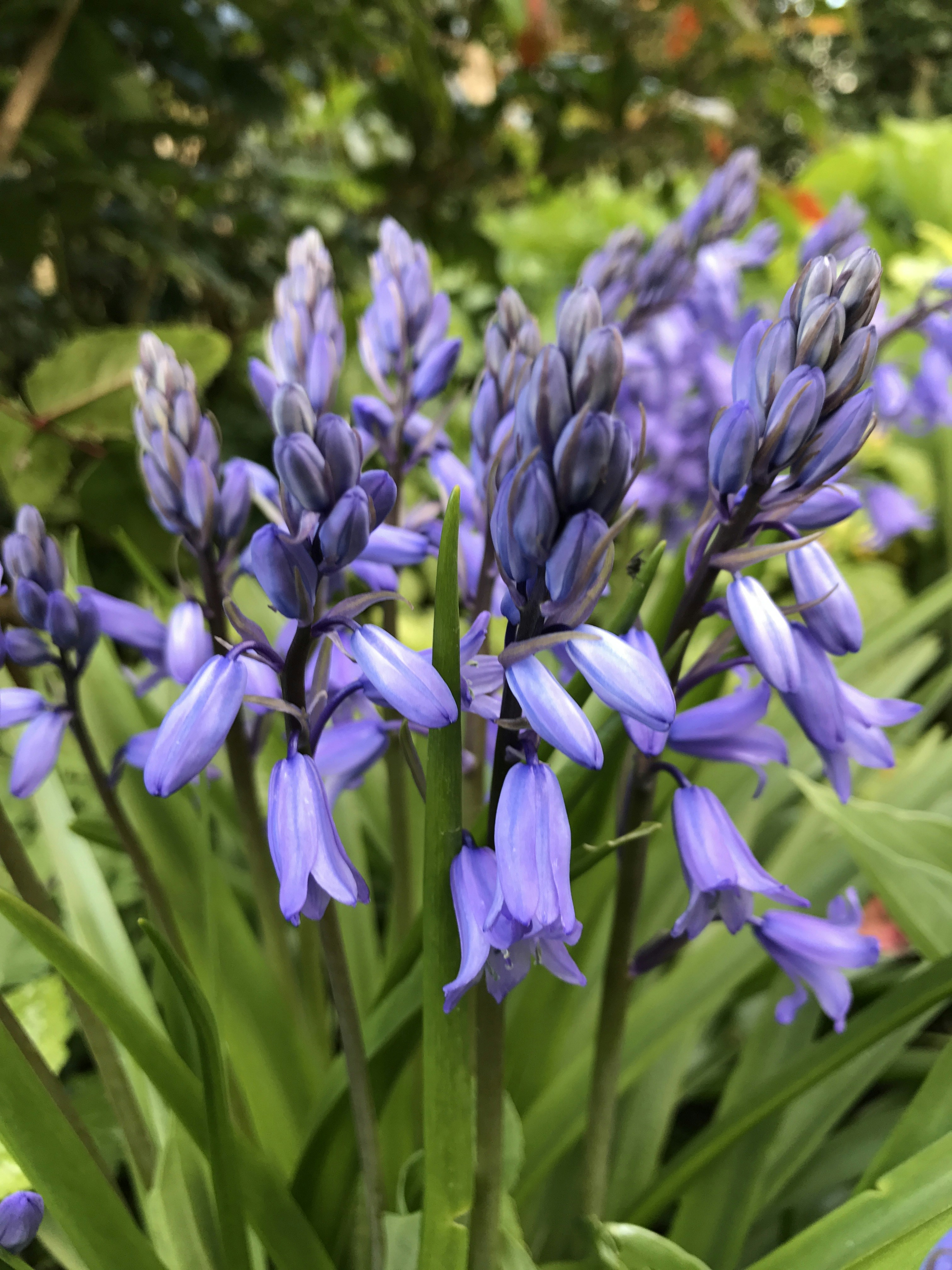 Photo by photosfromhome