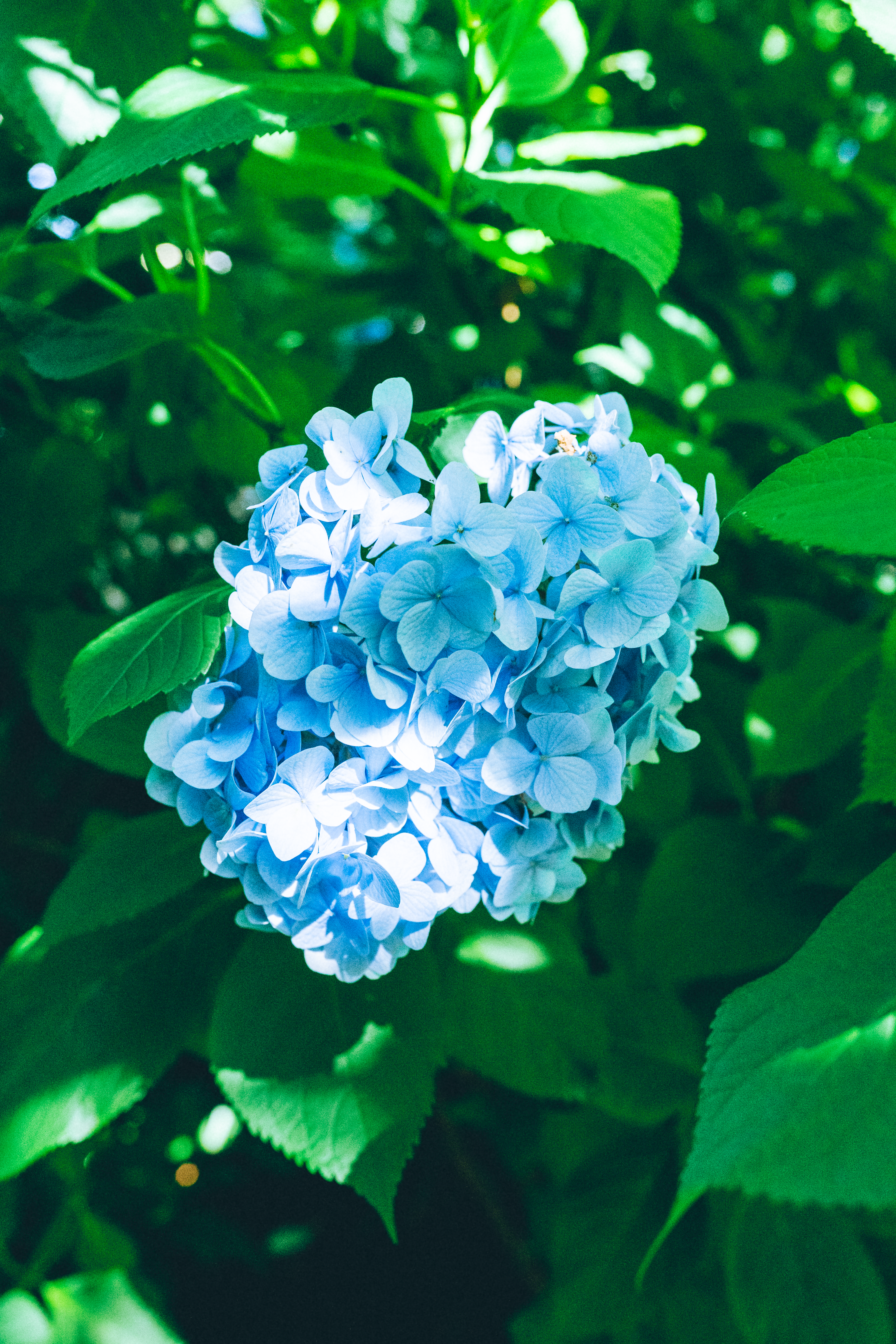 Photo by sumito_tomy