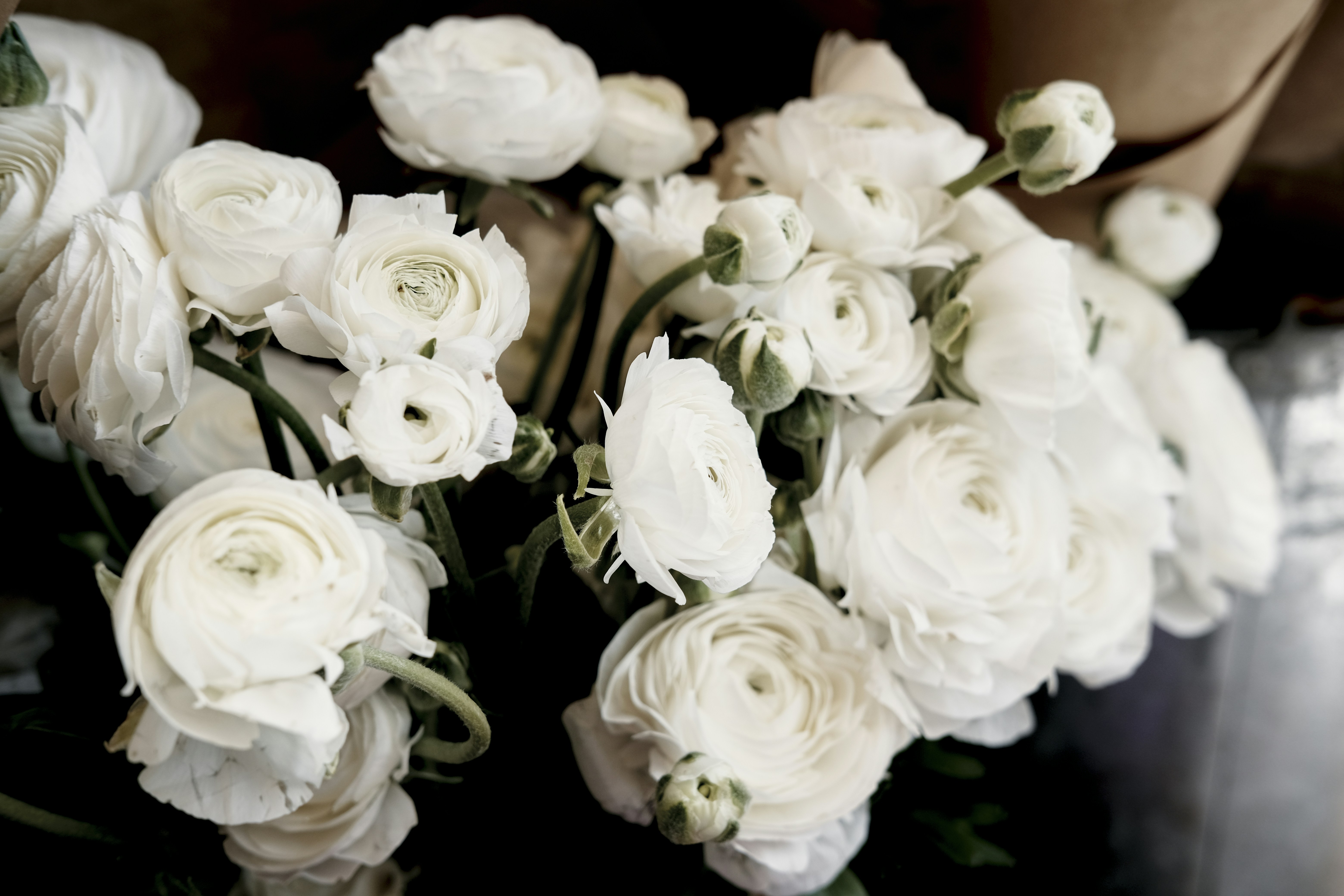 Photo by anna_rumjahn