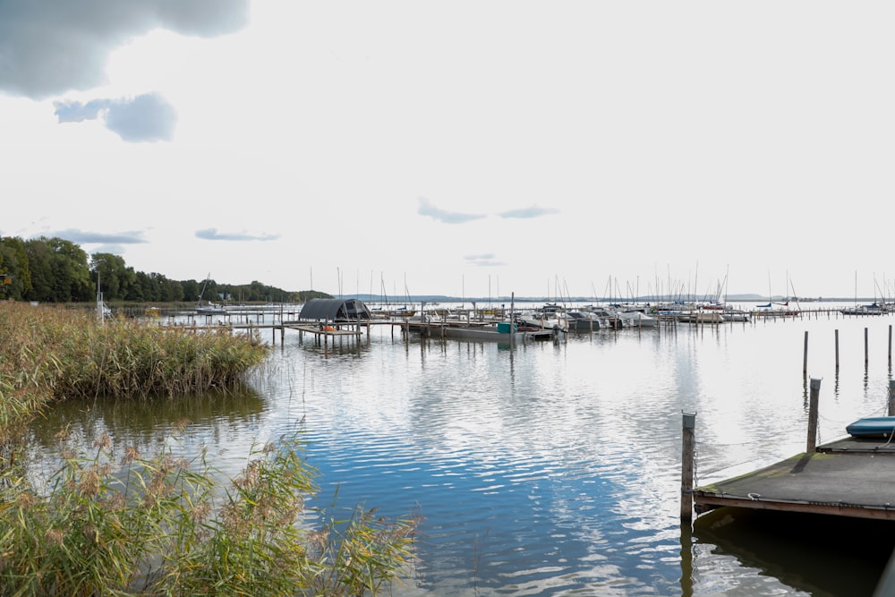 a dock with boats on it