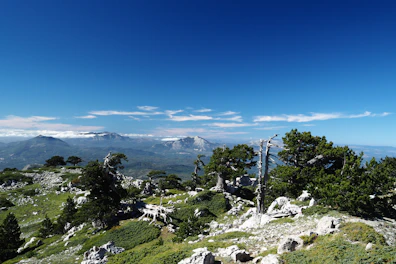 a rocky hillside with trees and mountains in the background