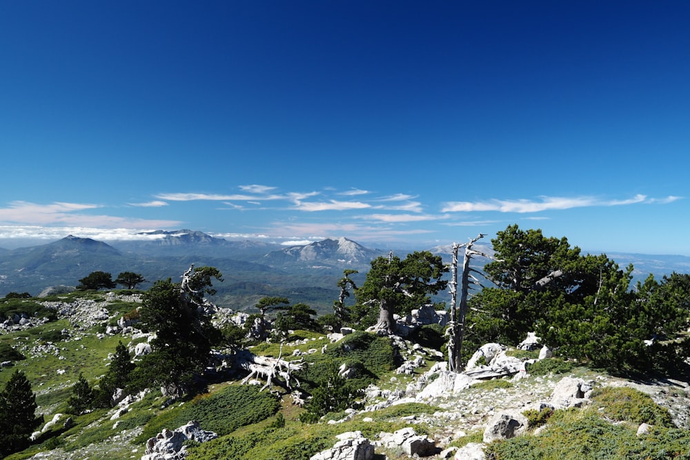 Una collina rocciosa con alberi e montagne sullo sfondo