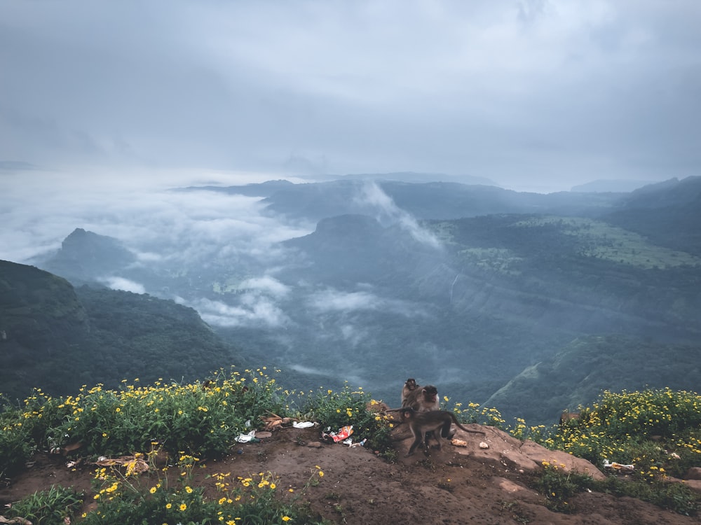 a person sitting on a rock with a mountain in the background