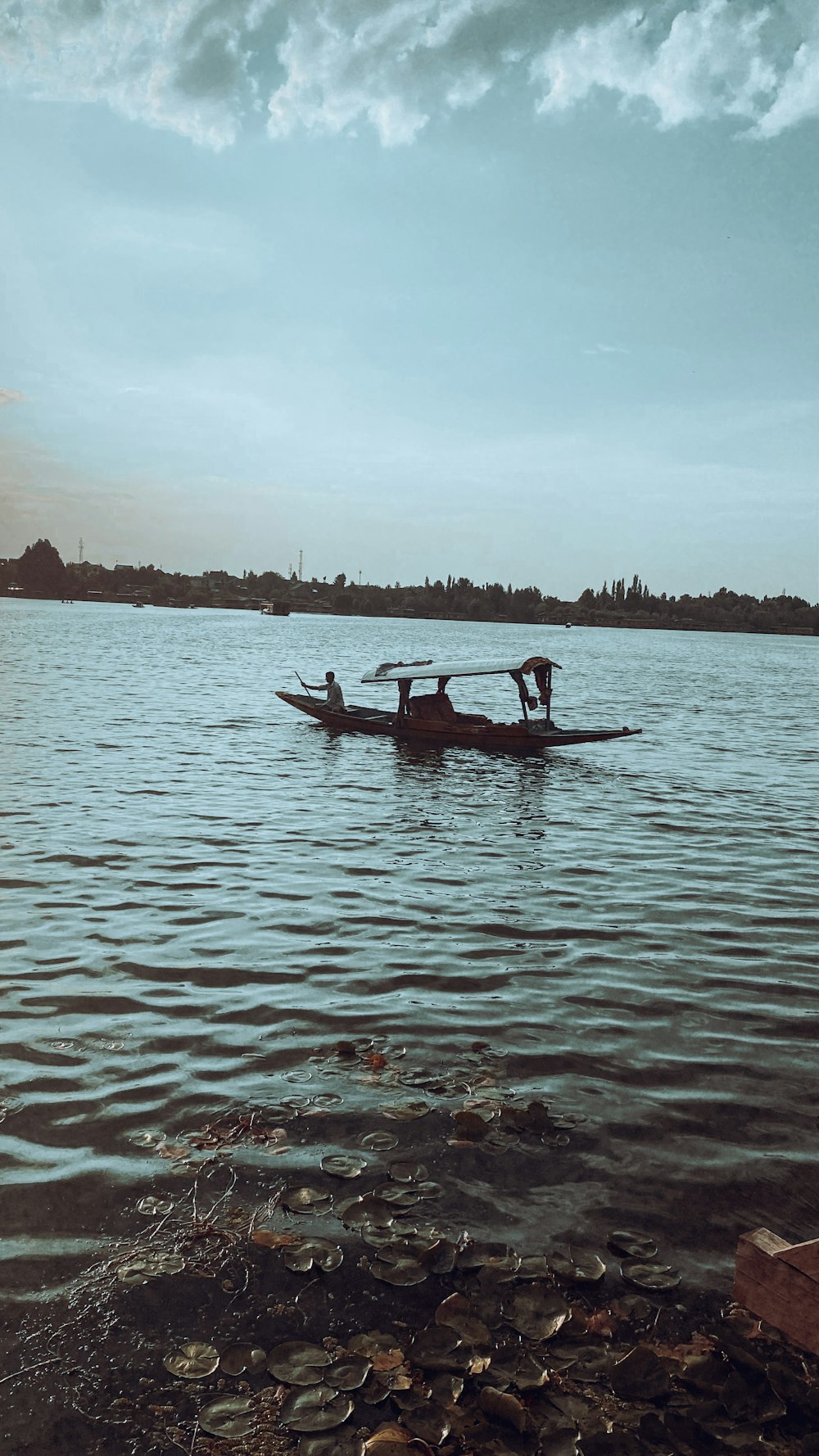 a dog on a boat in the water