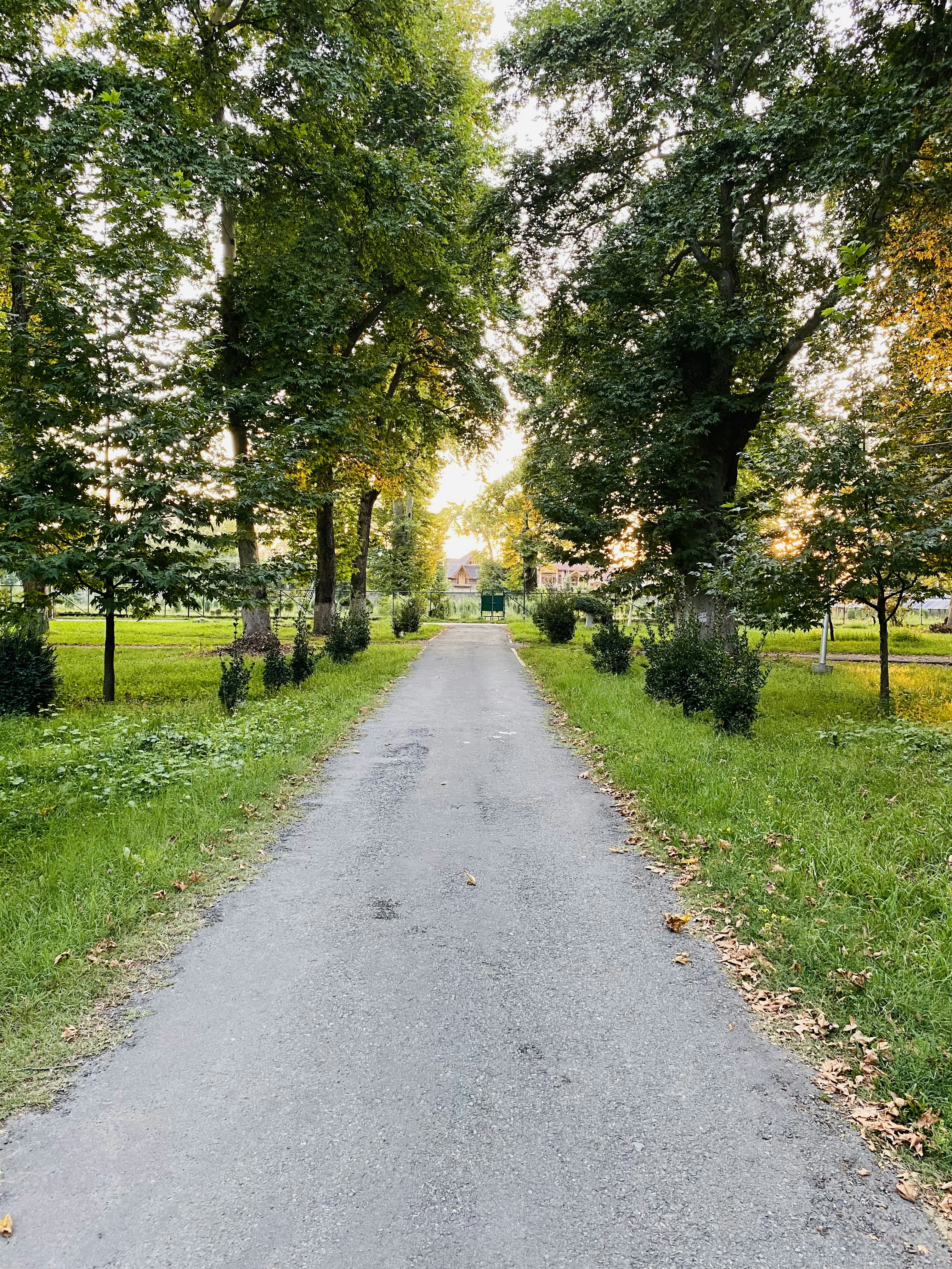 Photo by haziqfarooqi_