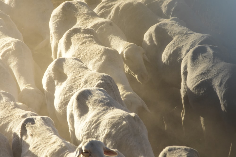 a group of rocks