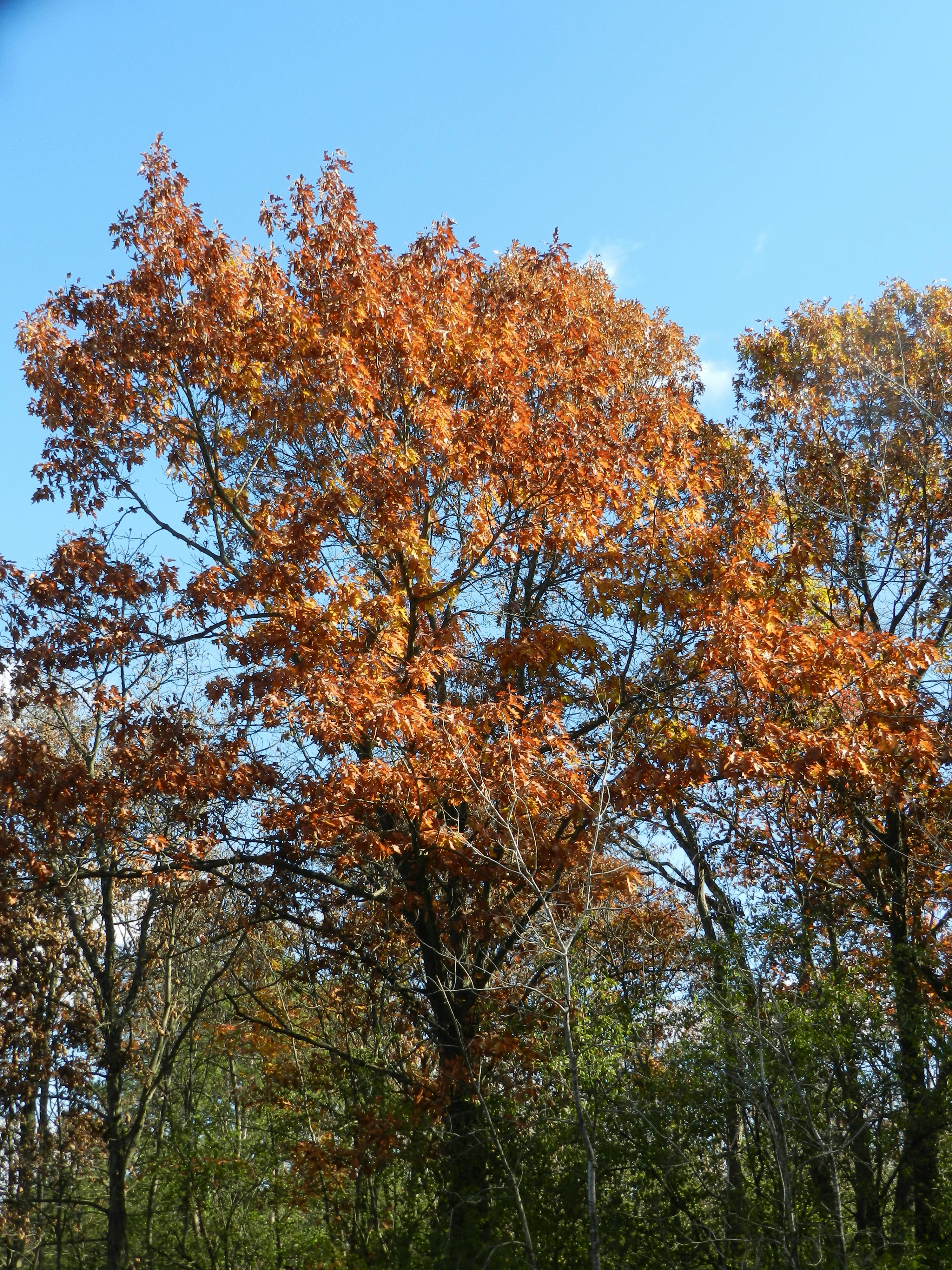 Photo by lyndabalcerek