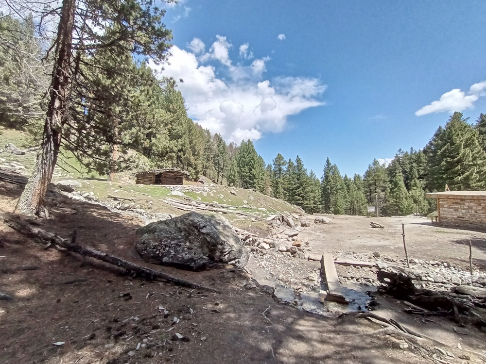 a rocky area with trees in the background