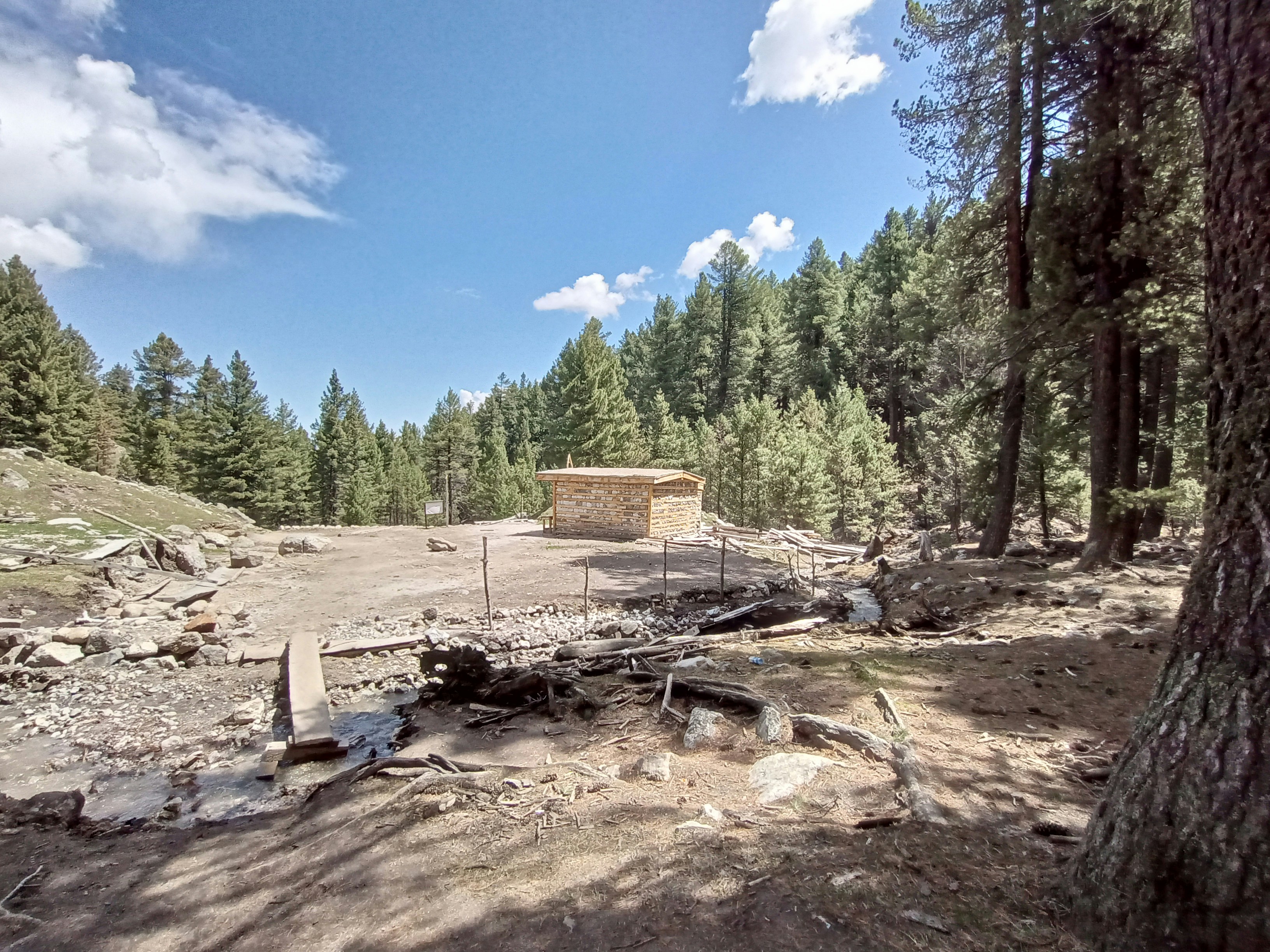 a building in the middle of a forest