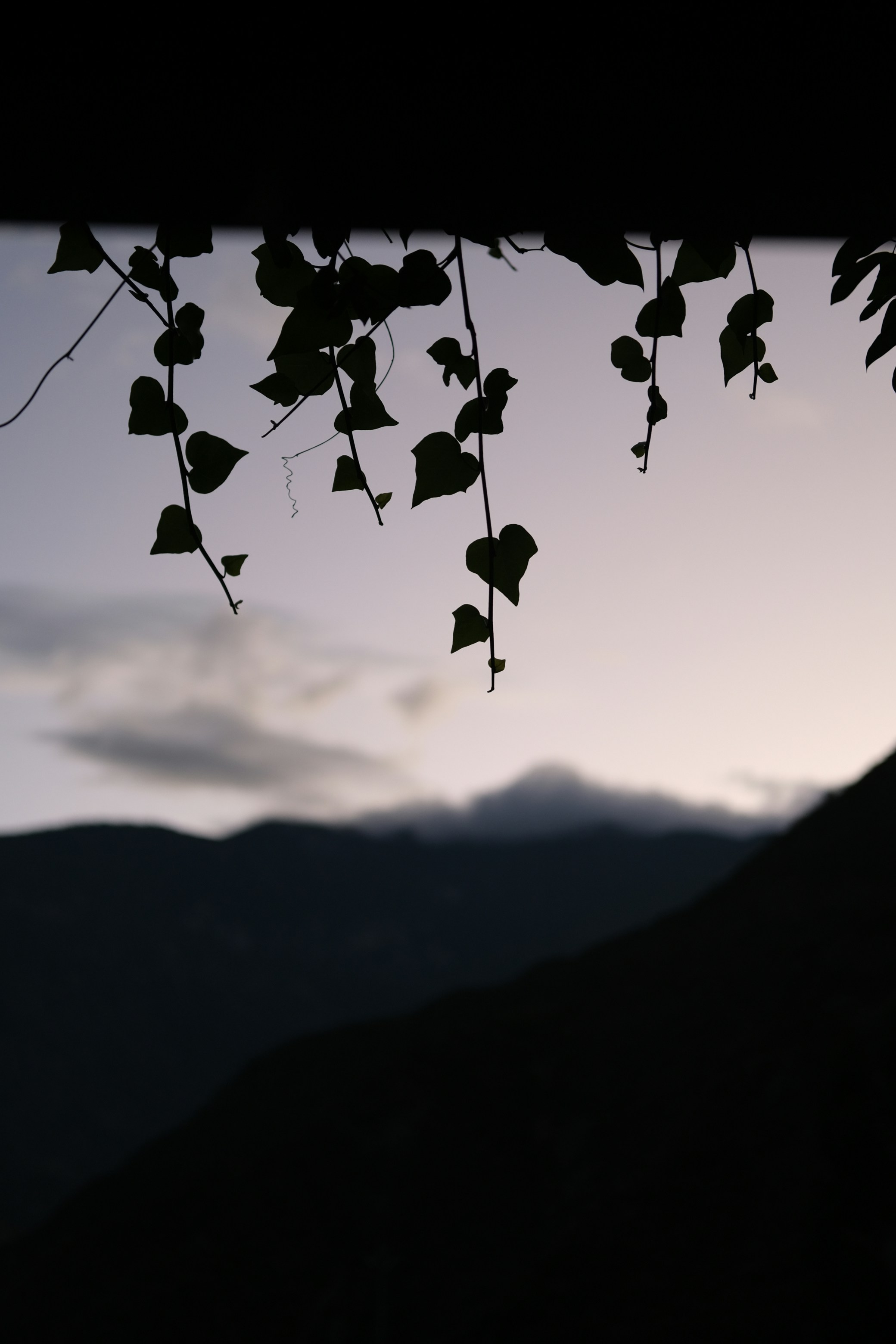 Photo by yuliamelody