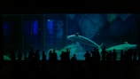 A group of silhouetted people stand in front of an aquarium tank. Inside the tank, two beluga whales swim gracefully in clear blue water. The background features textured rocks, and ambient lighting adds a tranquil underwater atmosphere.