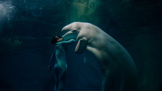 A person wearing a wetsuit is underwater with a large white beluga whale. The scene is lit from above, casting a mystical, ethereal light through the water.