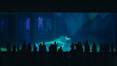 A large aquarium features a beluga whale swimming gracefully, surrounded by dark blue water. Silhouetted figures of people, likely visitors, stand in front of the tank observing the scene, casting their shadows on the aquarium glass. The environment inside the tank is decorated with textured rock formations, adding depth to the aquatic setting.
