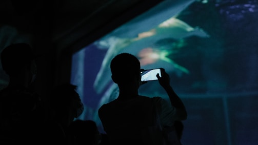 A silhouette of a person holding a phone, capturing images of marine life seen through an aquarium window. The environment is dimly lit, emphasizing the aquatic scenery illuminated in blue and green hues.