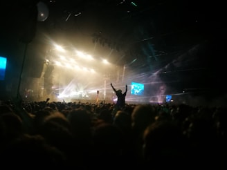 A professional security agent managing crowd control at a lively concert event.