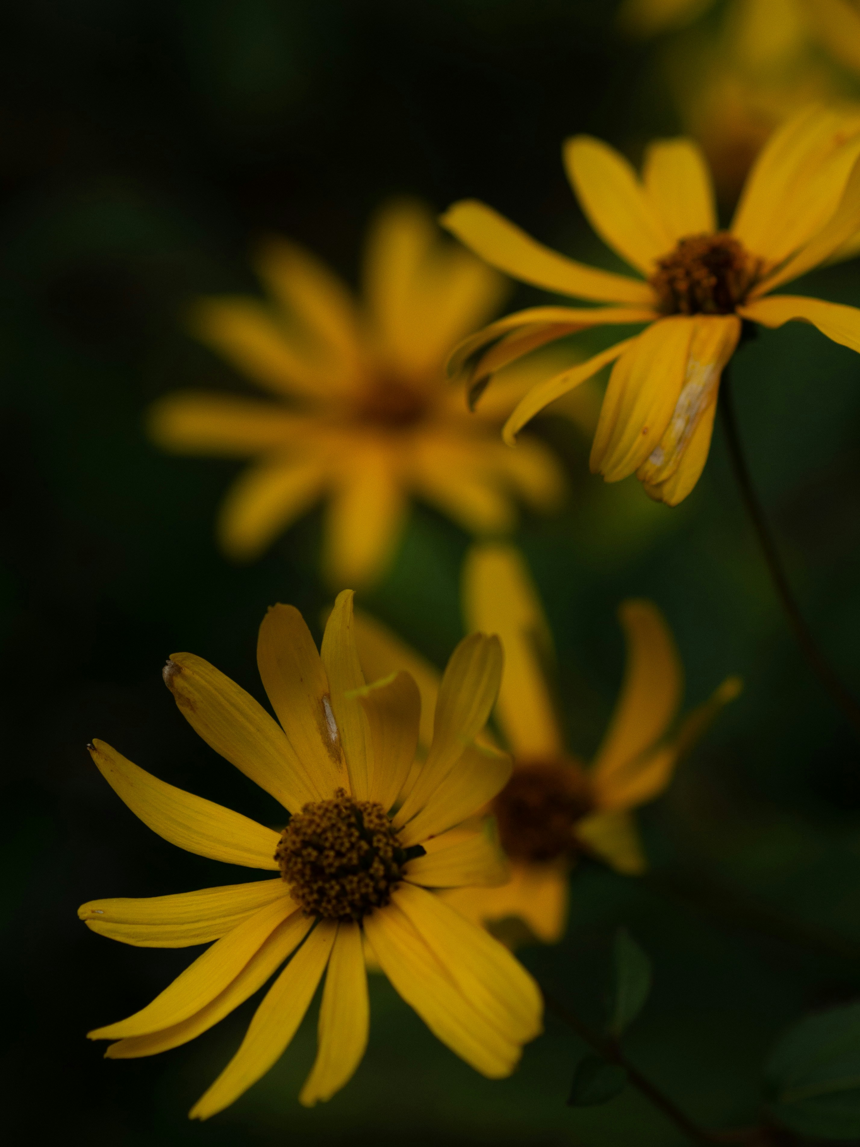 Photo by anna_c_wilhelm