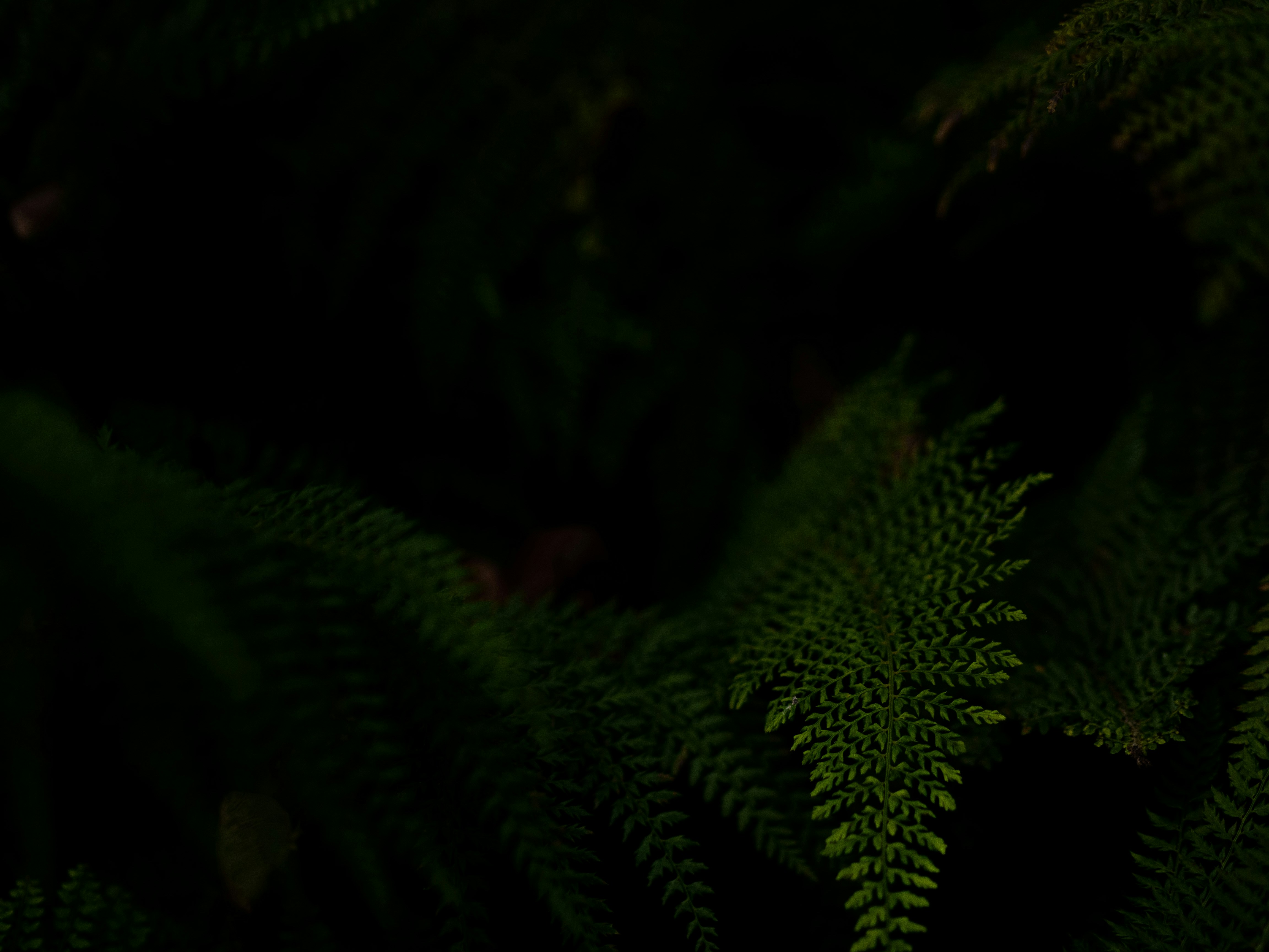 Photo by anna_c_wilhelm