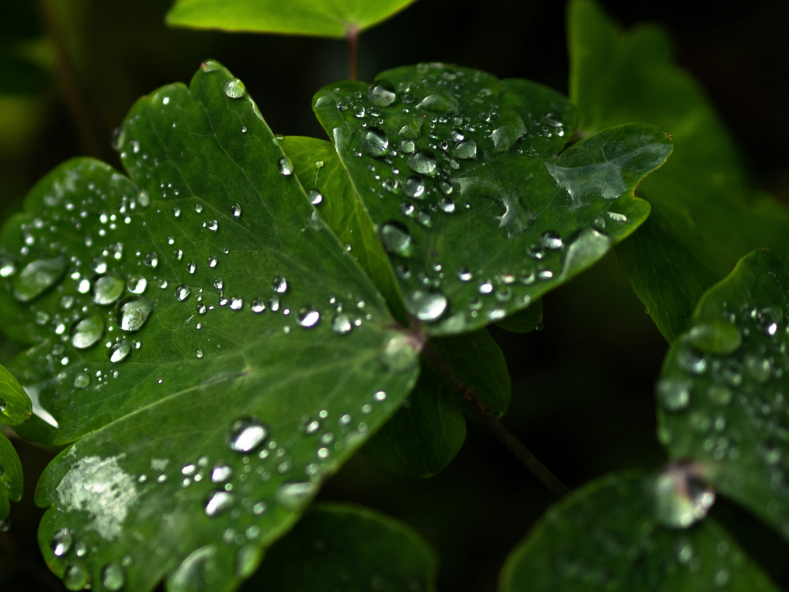 Photo by anna_c_wilhelm