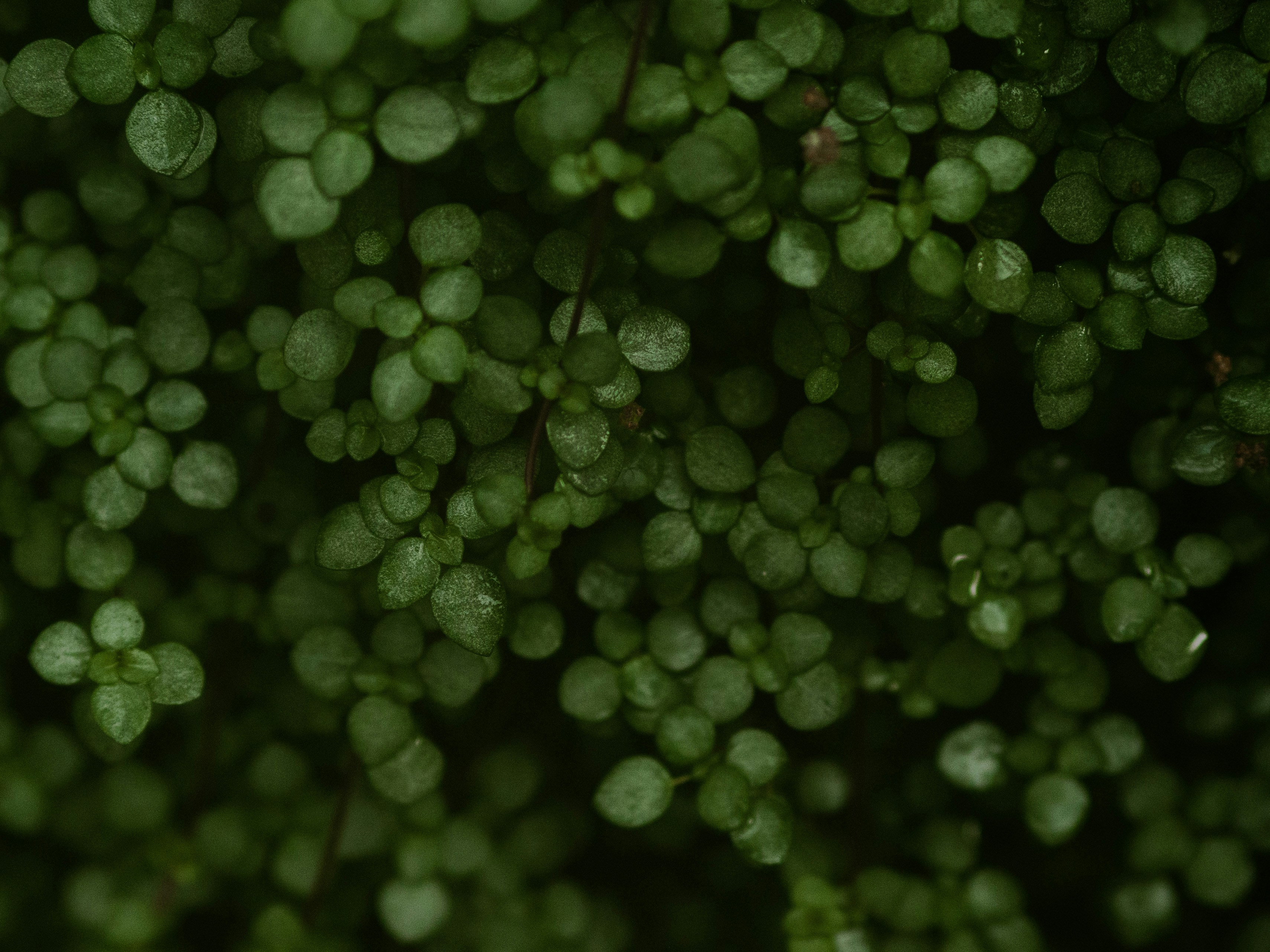 Photo by anna_c_wilhelm