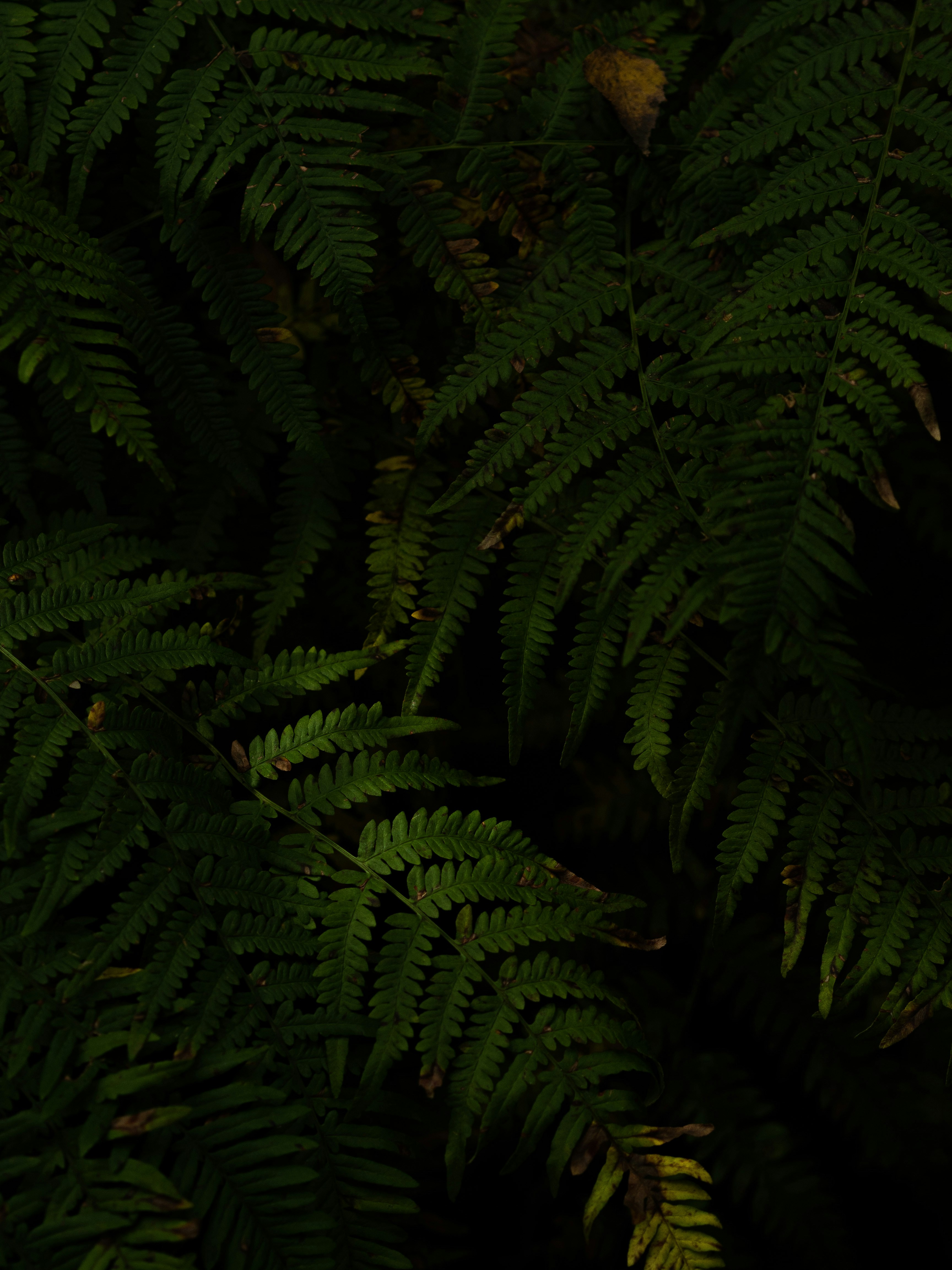 Photo by anna_c_wilhelm