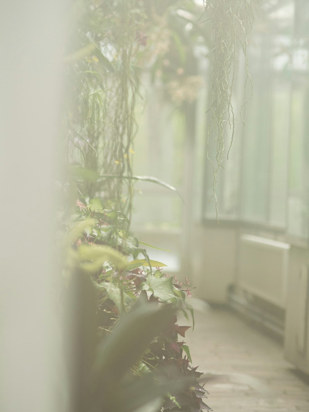 a vase with flowers