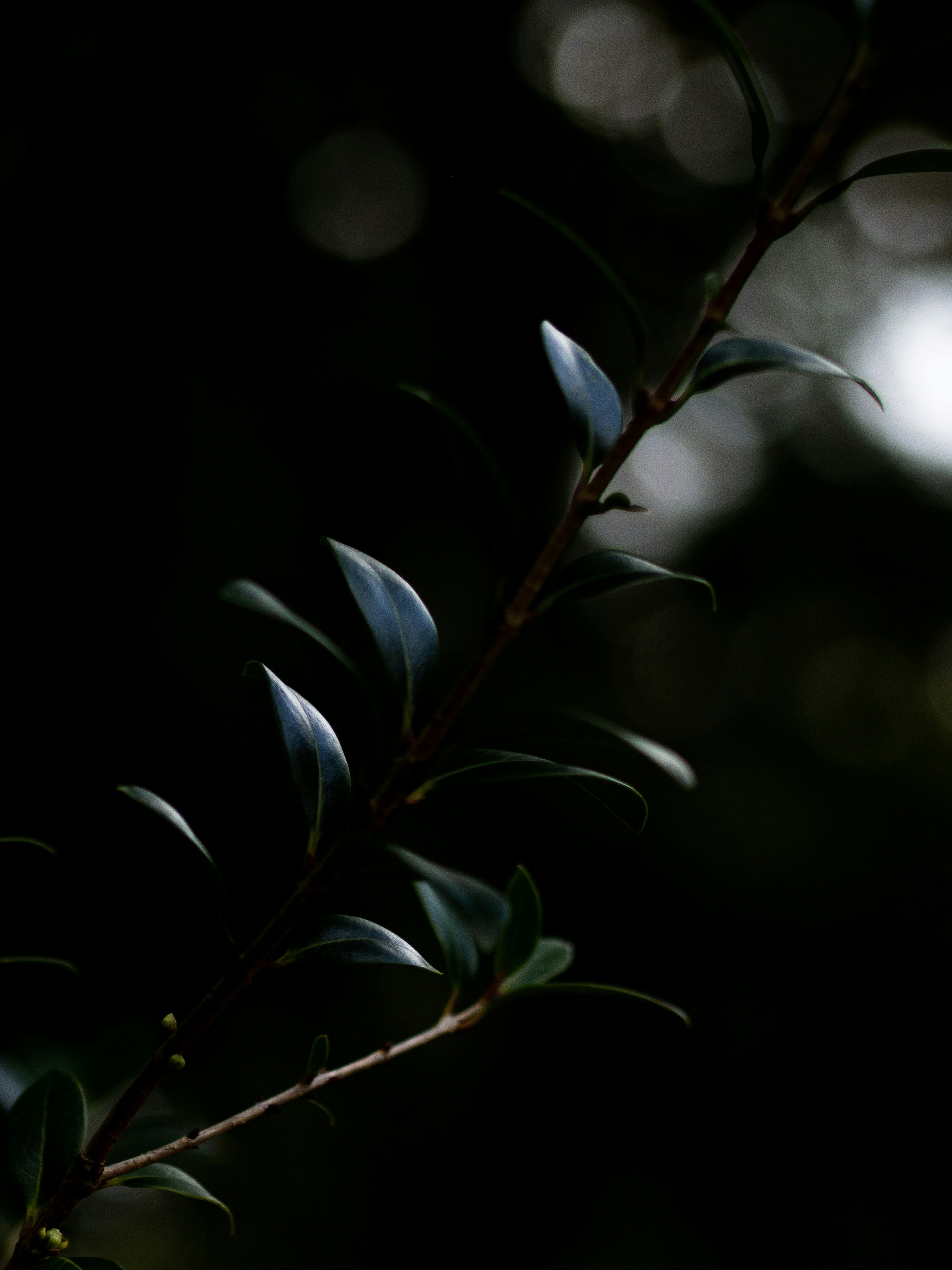 Photo by anna_c_wilhelm