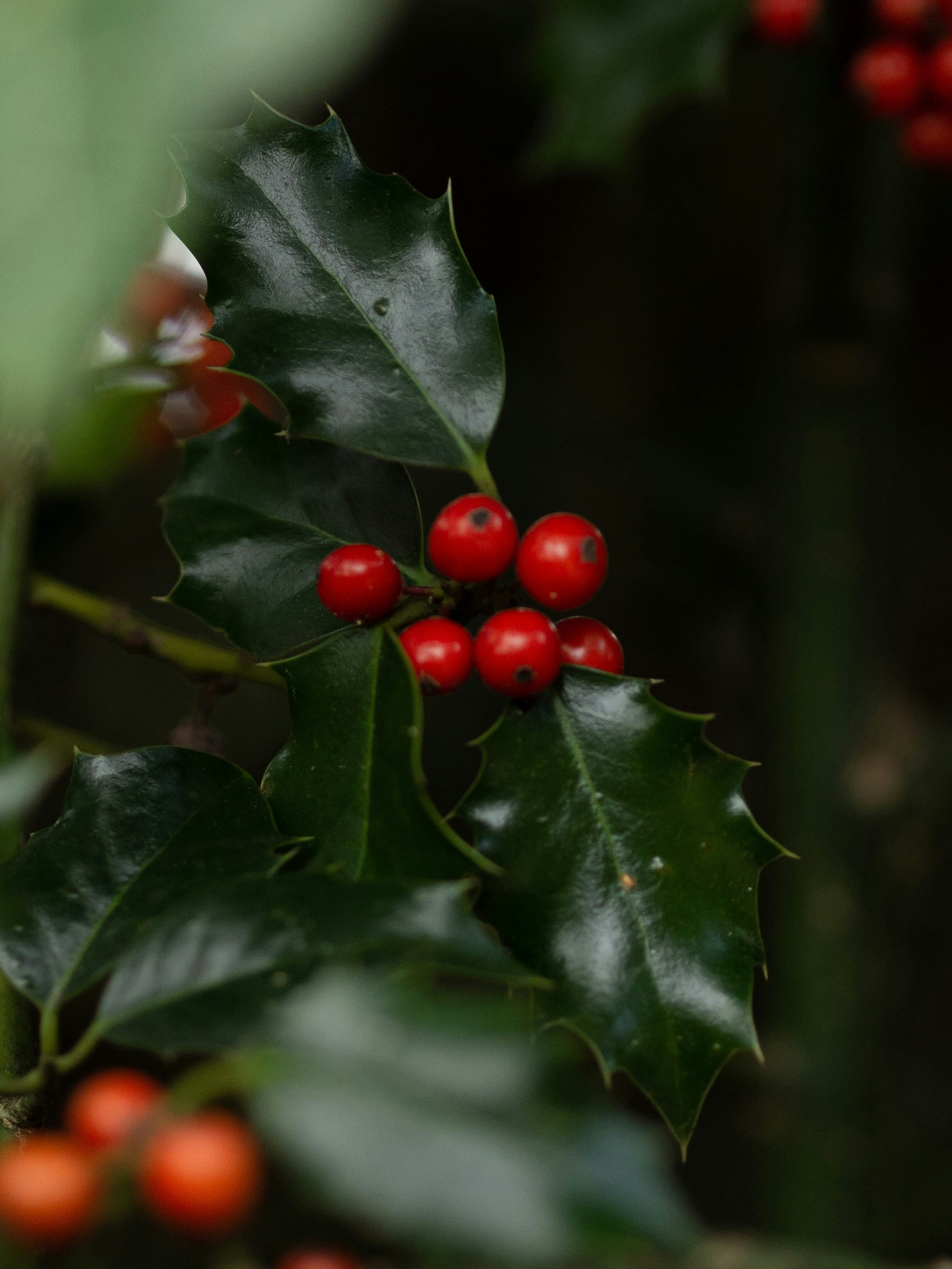 Photo by anna_c_wilhelm