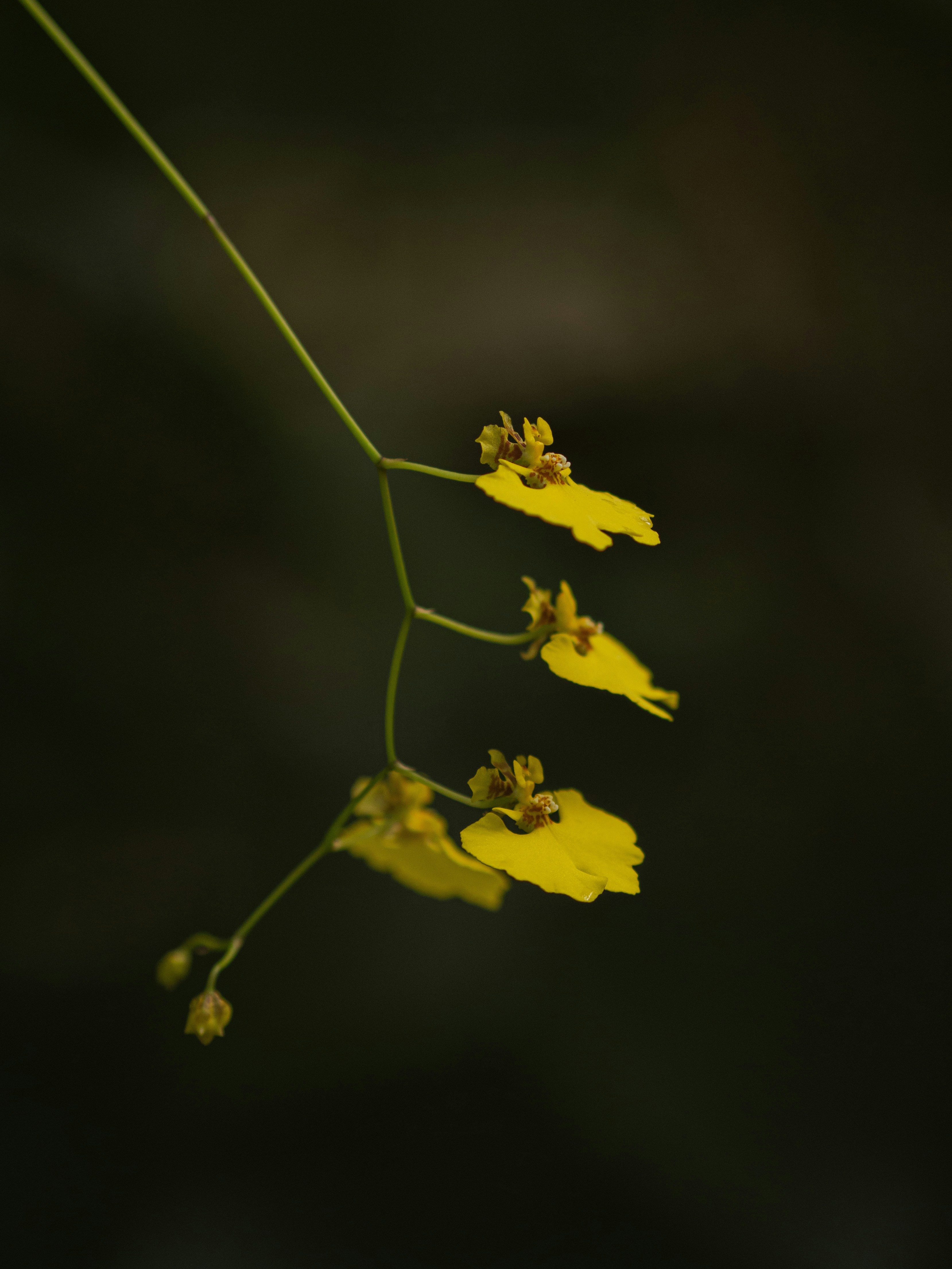 Photo by anna_c_wilhelm