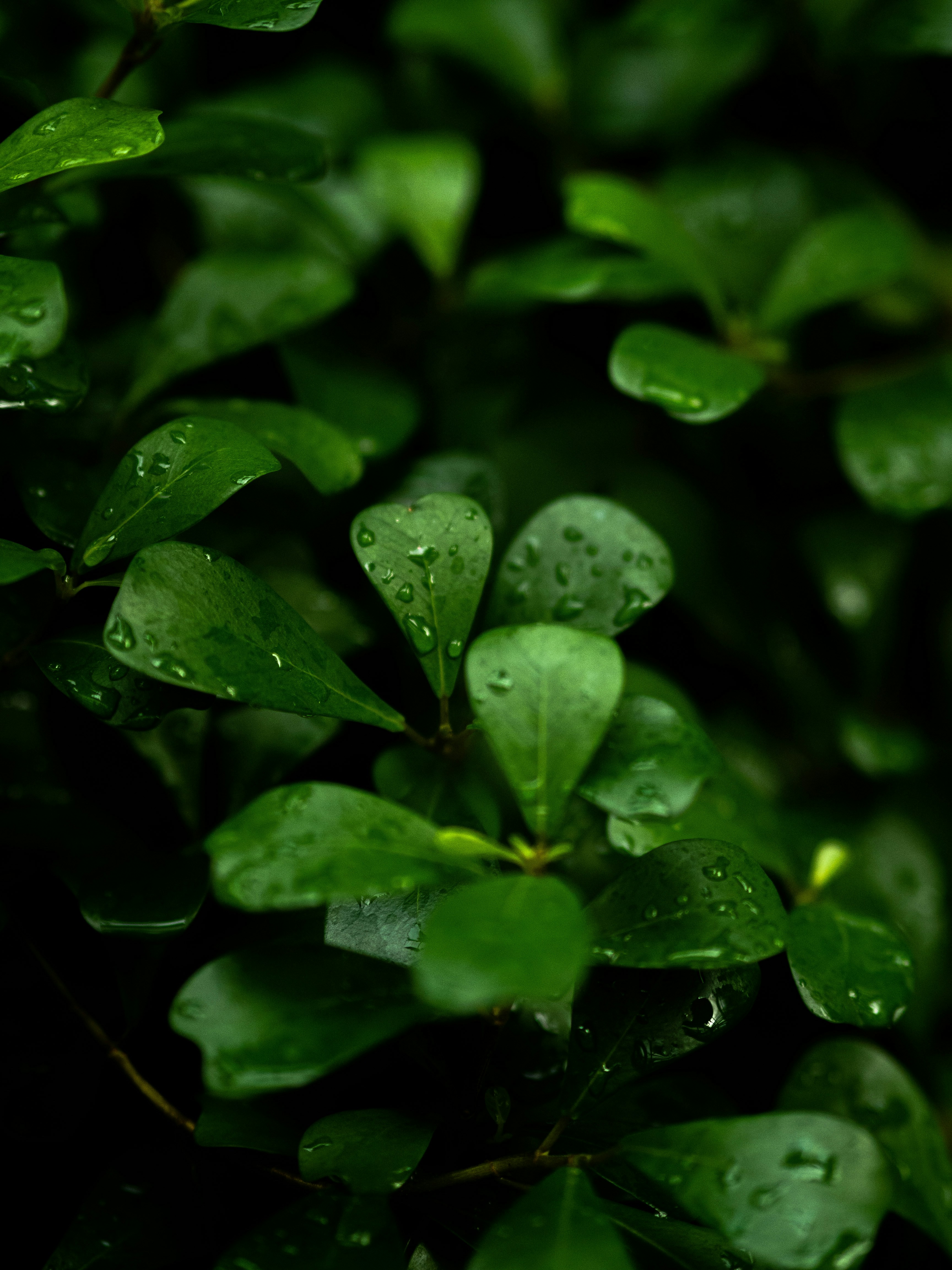 Photo by anna_c_wilhelm