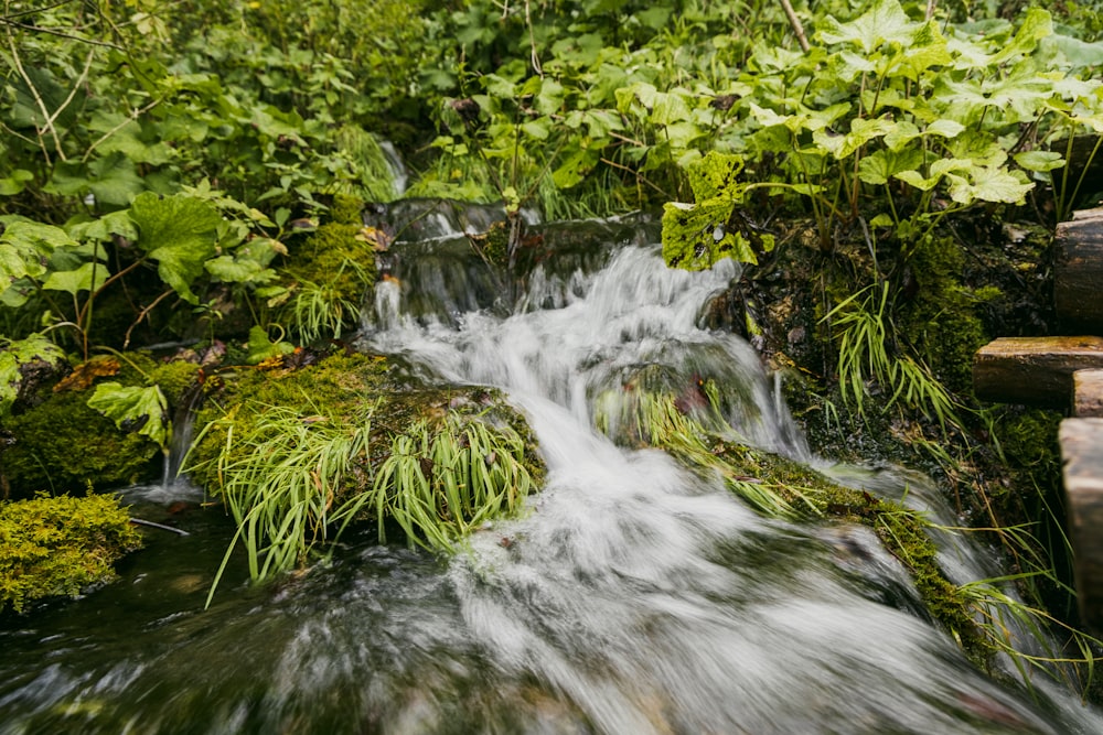 a waterfall in a forest