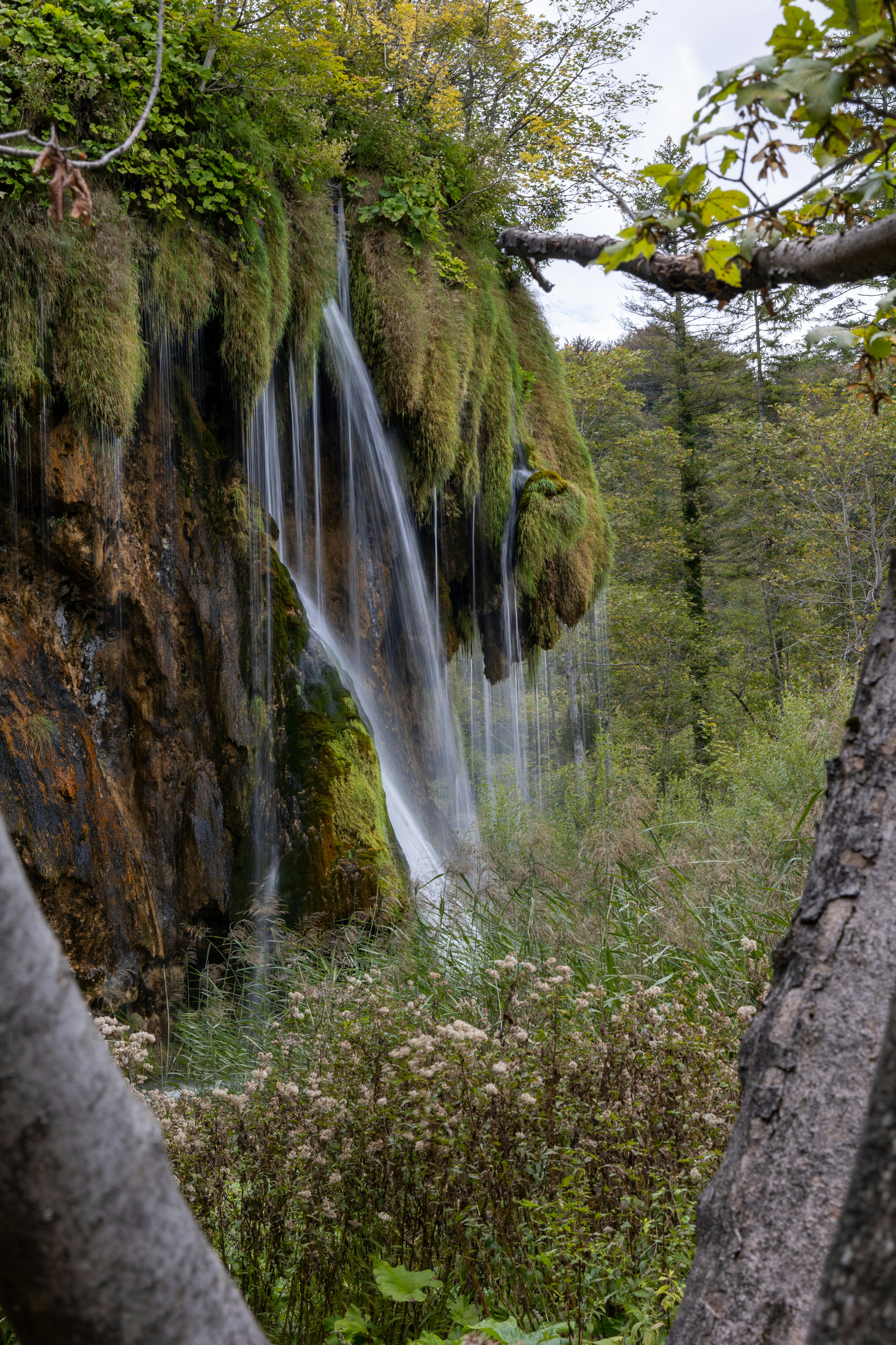 Photo by pegazem