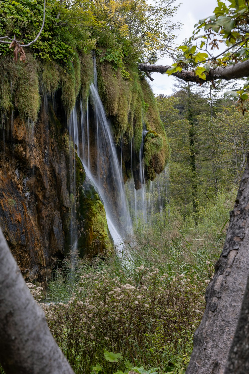 a waterfall in a forest