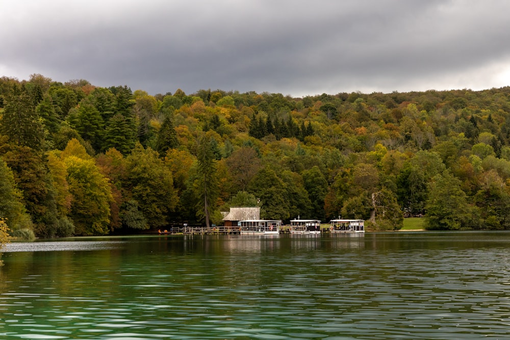 a house on a lake surrounded by trees