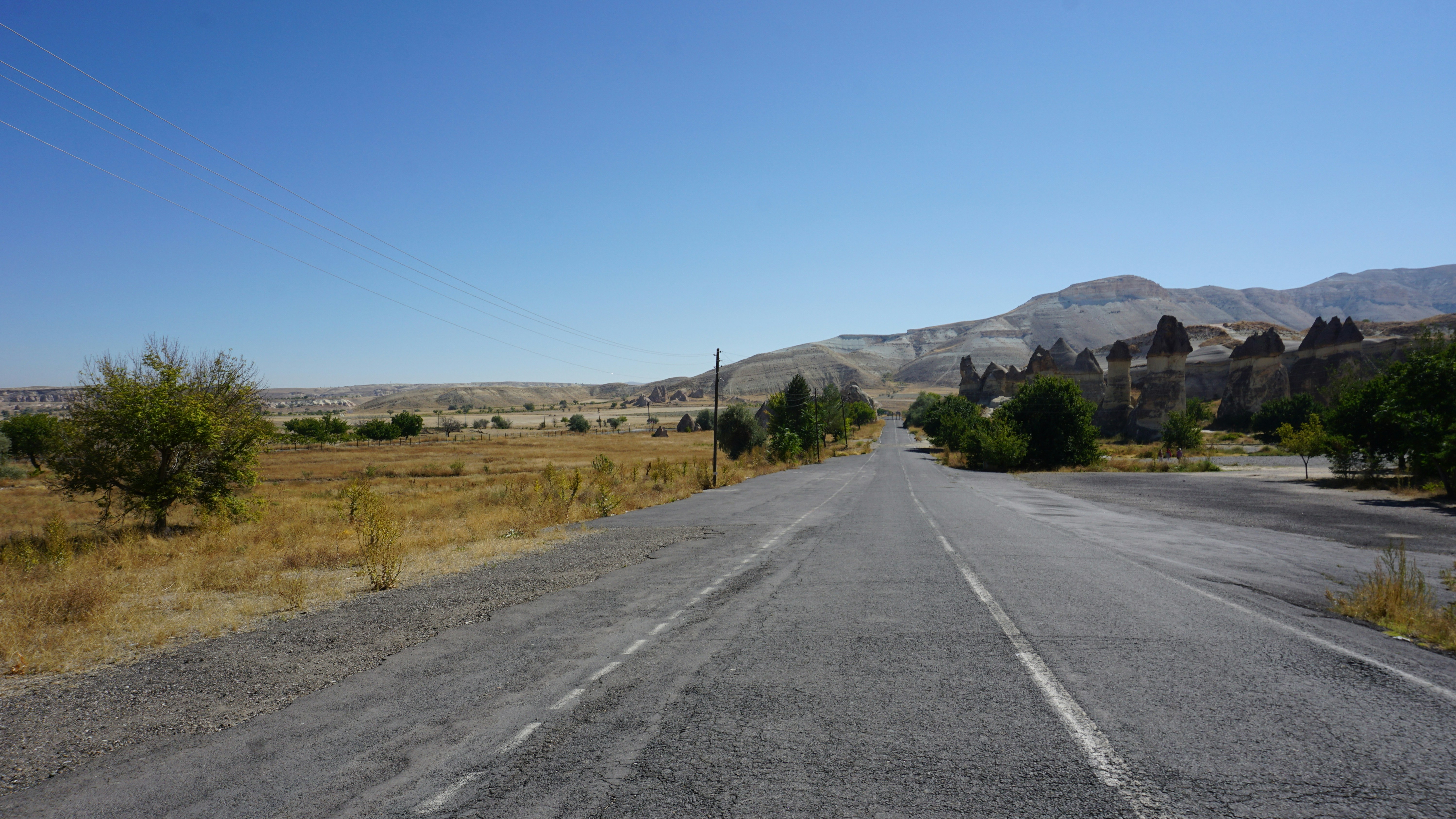 a road with trees and mountains in the background