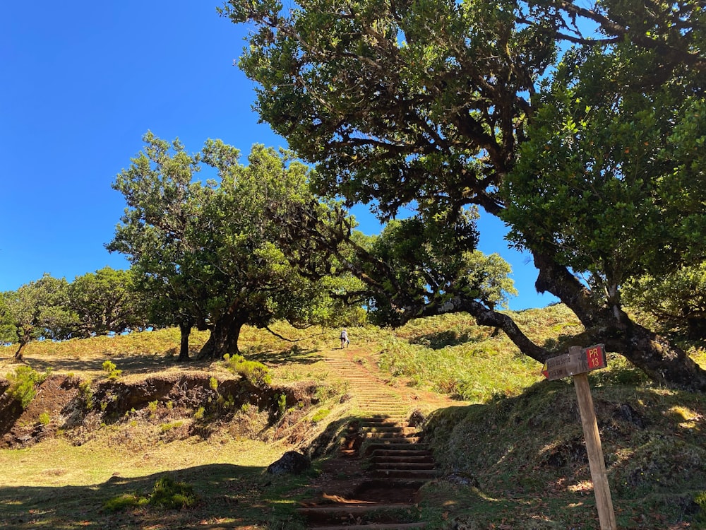 a person walking up a hill