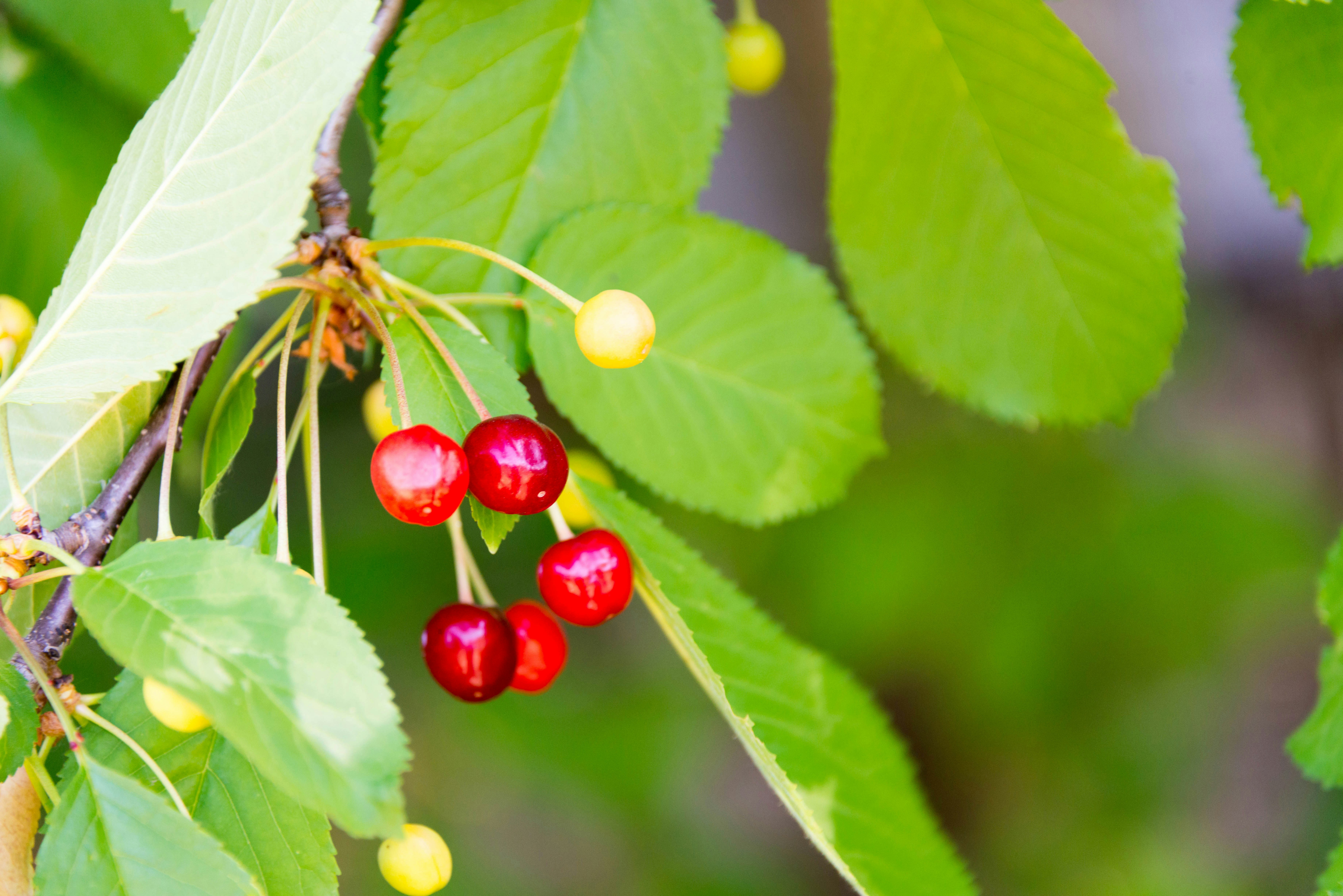 Photo by ferencfegyenc